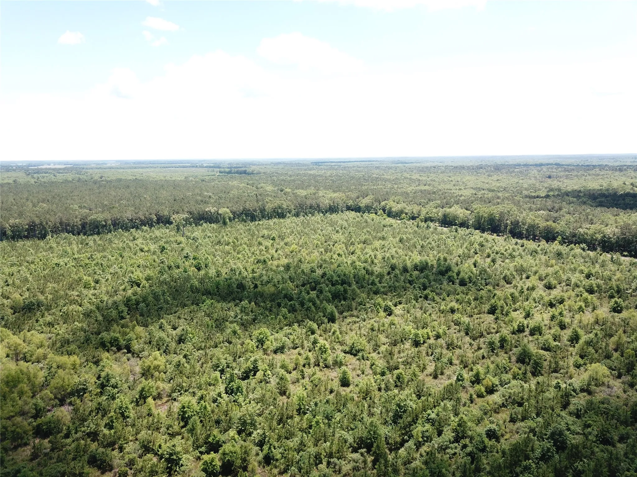 Unimproved Land For Sale in Bowie County , 00 County Road 4223, Simms, Texas 75574, 0, 0, Garage spaces, 0 Sqft, built in 0, mls#21408335, Real Estate Agent in Simms, Homes For Sale in Bowie county, Homes For Sale in Simms, Realtor in Simms Texas, Real Estate Brokerage Independent Realty Texas, Luminita Cordes Realtor