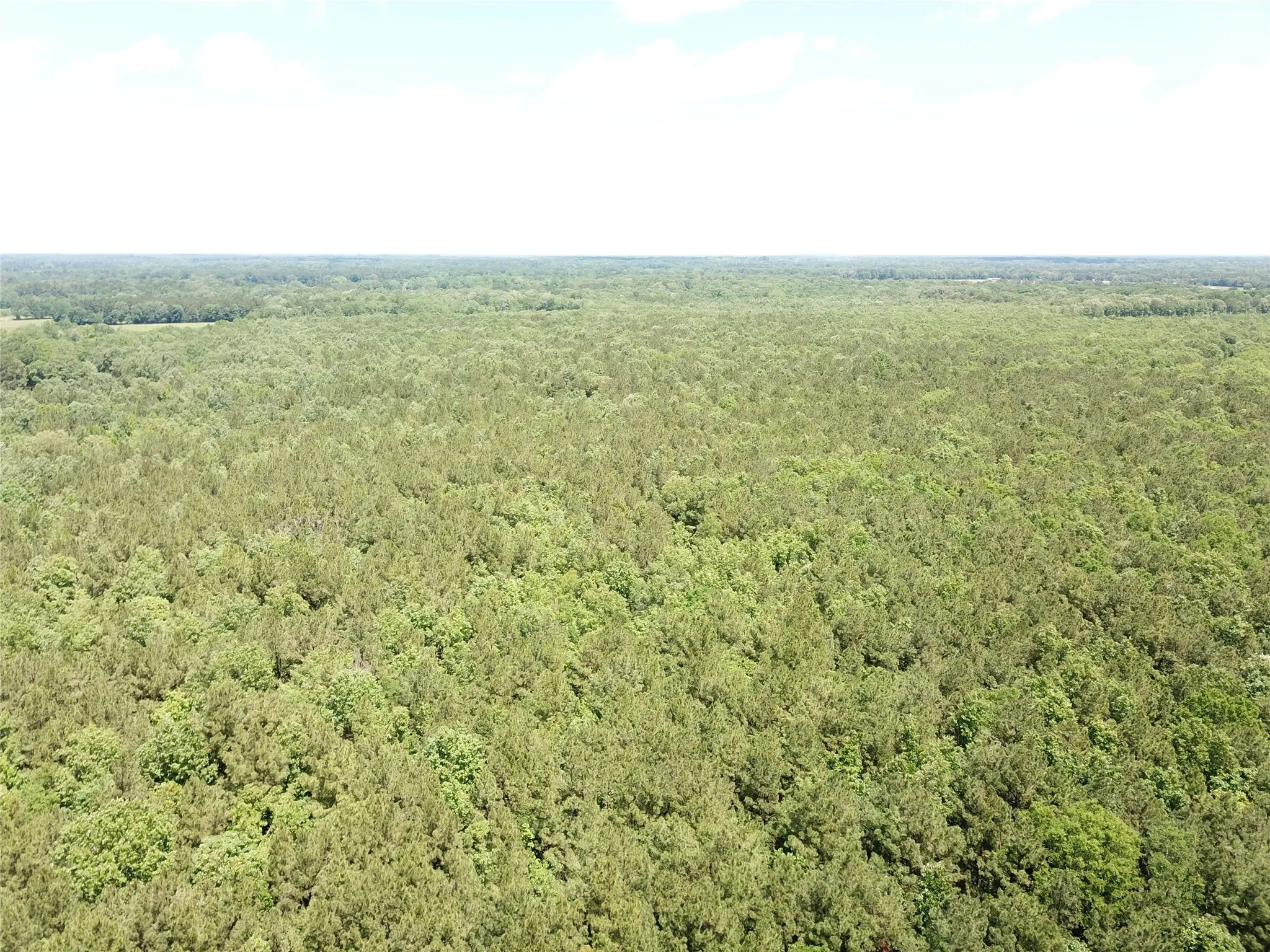 Unimproved Land For Sale in Bowie County , 00 County Road 4223, Simms, Texas 75574, 0, 0, Garage spaces, 0 Sqft, built in 0, mls#21408335, Real Estate Agent in Simms, Homes For Sale in Bowie county, Homes For Sale in Simms, Realtor in Simms Texas, Real Estate Brokerage Independent Realty Texas, Luminita Cordes Realtor