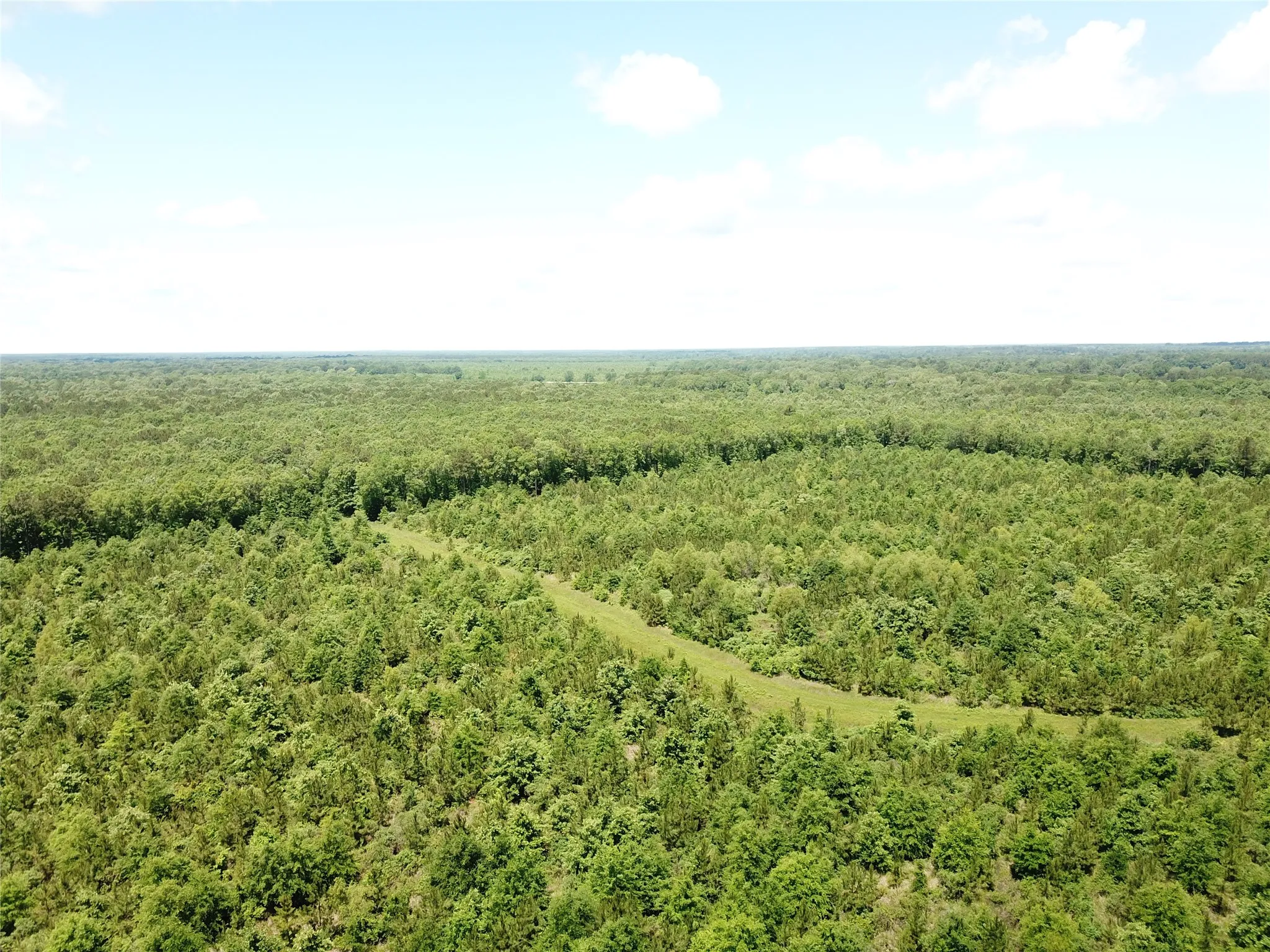 Unimproved Land For Sale in Bowie County , 00 County Road 4223, Simms, Texas 75574, 0, 0, Garage spaces, 0 Sqft, built in 0, mls#21408335, Real Estate Agent in Simms, Homes For Sale in Bowie county, Homes For Sale in Simms, Realtor in Simms Texas, Real Estate Brokerage Independent Realty Texas, Luminita Cordes Realtor