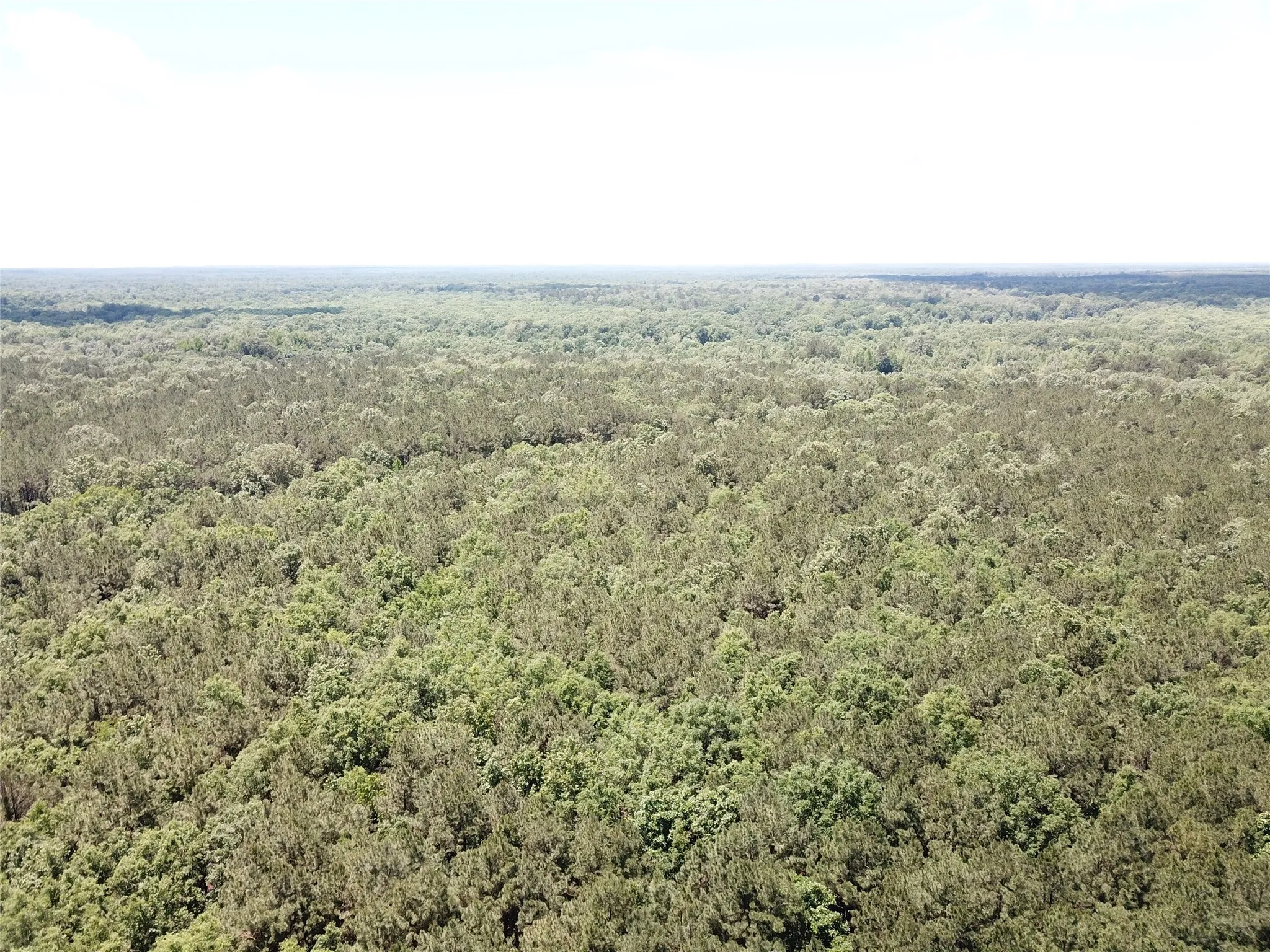 Unimproved Land For Sale in Bowie County , 00 County Road 4223, Simms, Texas 75574, 0, 0, Garage spaces, 0 Sqft, built in 0, mls#21408335, Real Estate Agent in Simms, Homes For Sale in Bowie county, Homes For Sale in Simms, Realtor in Simms Texas, Real Estate Brokerage Independent Realty Texas, Luminita Cordes Realtor