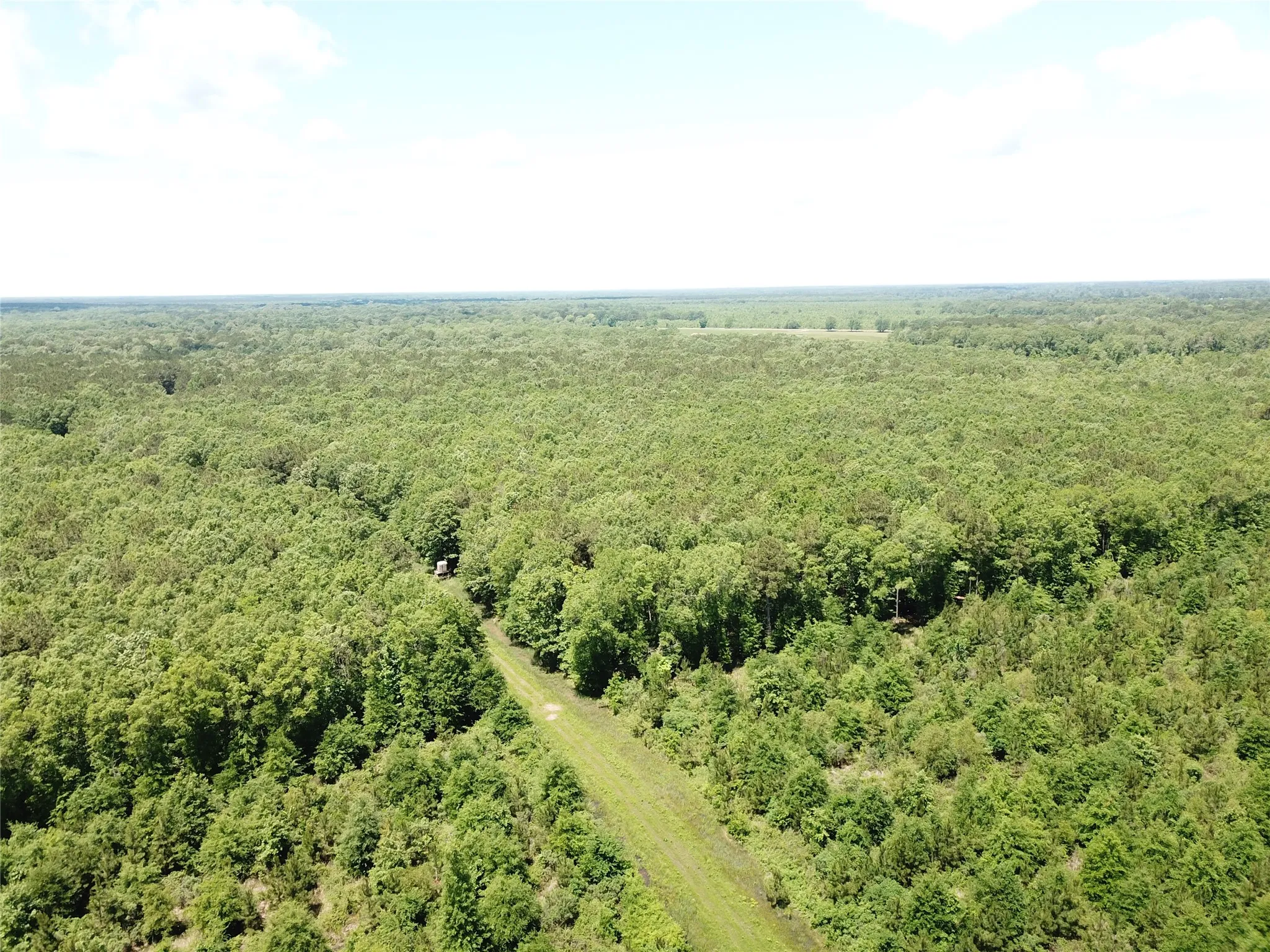 Unimproved Land For Sale in Bowie County , 00 County Road 4223, Simms, Texas 75574, 0, 0, Garage spaces, 0 Sqft, built in 0, mls#21408335, Real Estate Agent in Simms, Homes For Sale in Bowie county, Homes For Sale in Simms, Realtor in Simms Texas, Real Estate Brokerage Independent Realty Texas, Luminita Cordes Realtor