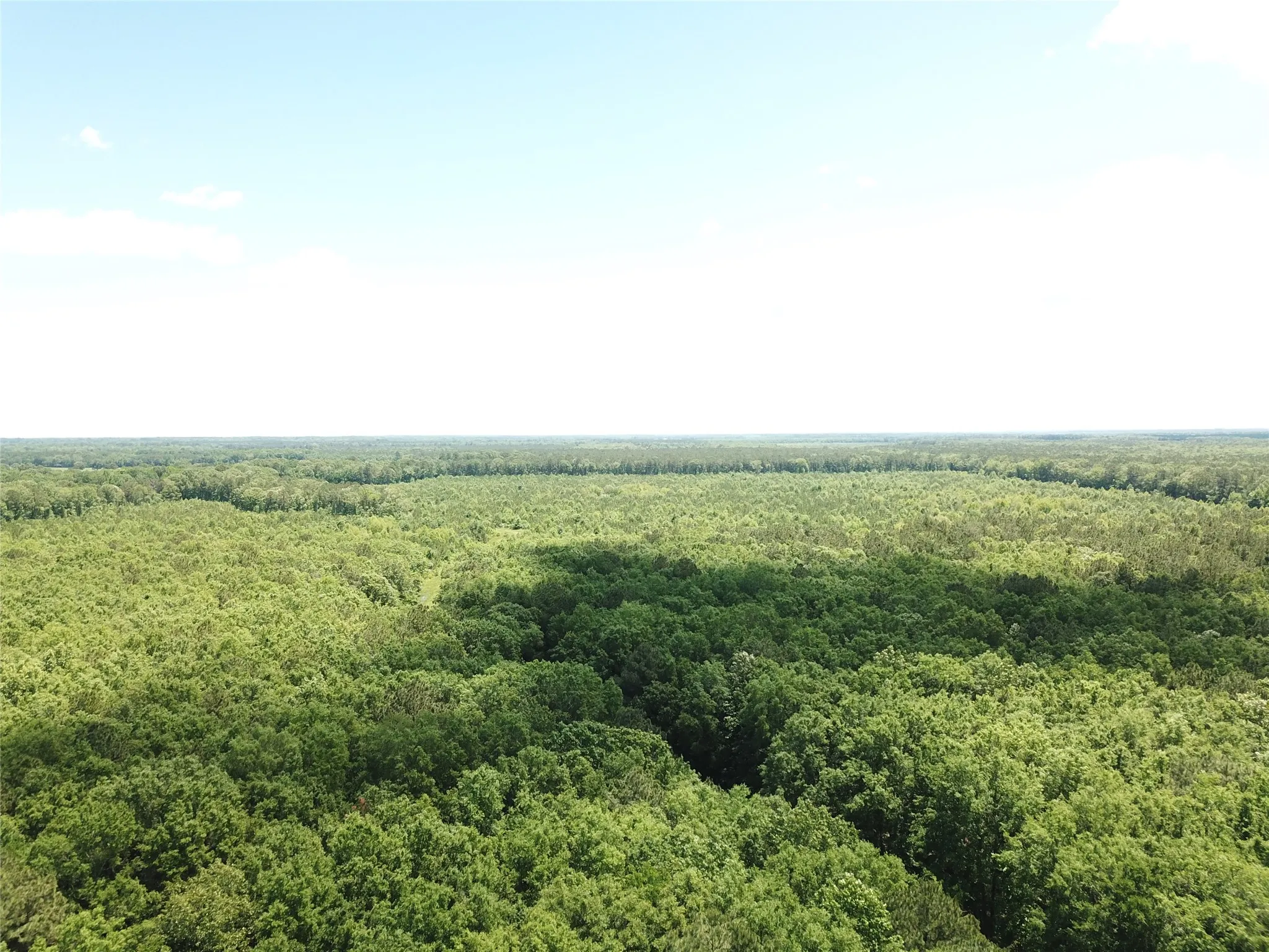 Unimproved Land For Sale in Bowie County , 00 County Road 4223, Simms, Texas 75574, 0, 0, Garage spaces, 0 Sqft, built in 0, mls#21408335, Real Estate Agent in Simms, Homes For Sale in Bowie county, Homes For Sale in Simms, Realtor in Simms Texas, Real Estate Brokerage Independent Realty Texas, Luminita Cordes Realtor