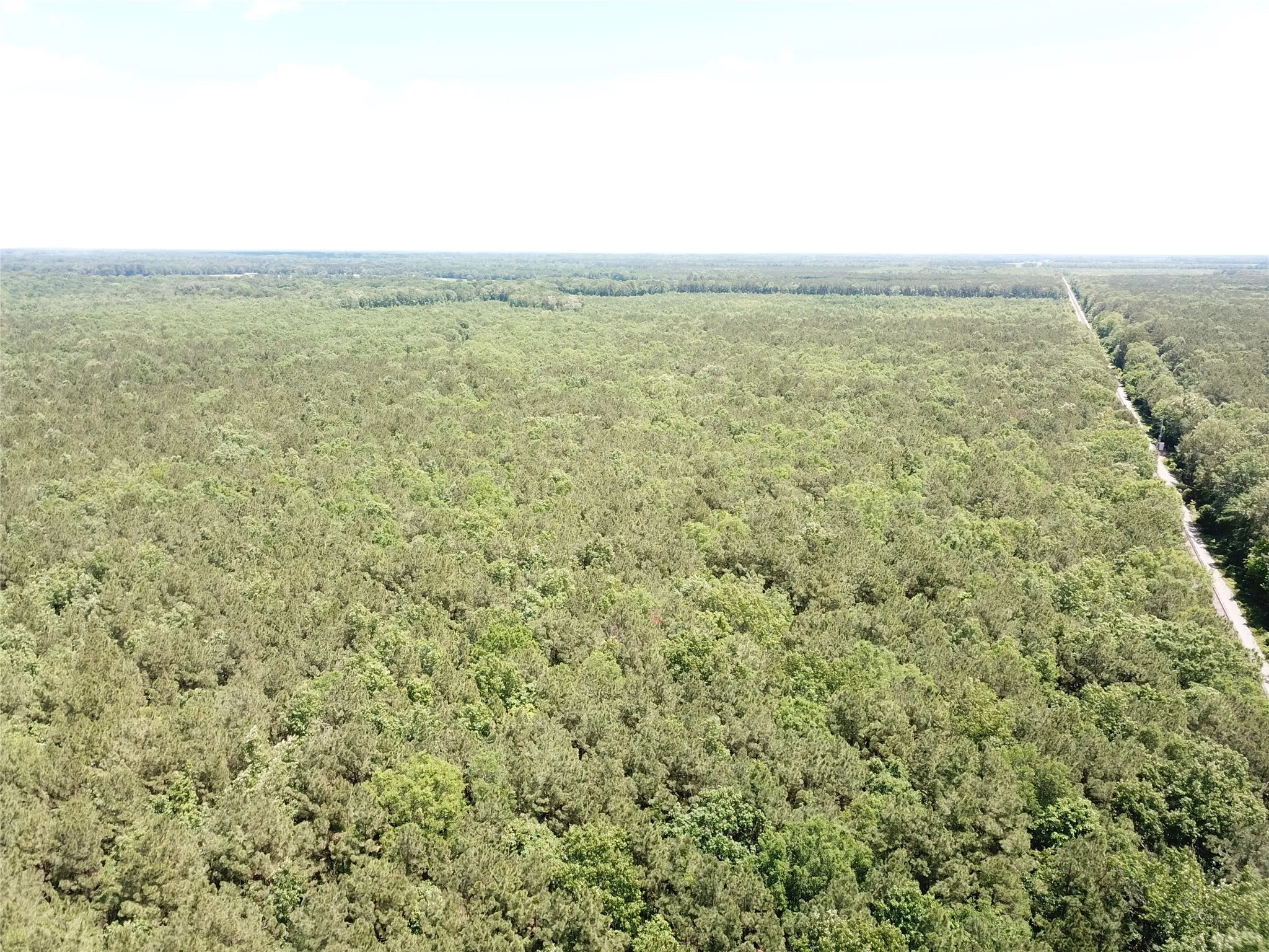 Unimproved Land For Sale in Bowie County , 00 County Road 4223, Simms, Texas 75574, 0, 0, Garage spaces, 0 Sqft, built in 0, mls#21408335, Real Estate Agent in Simms, Homes For Sale in Bowie county, Homes For Sale in Simms, Realtor in Simms Texas, Real Estate Brokerage Independent Realty Texas, Luminita Cordes Realtor