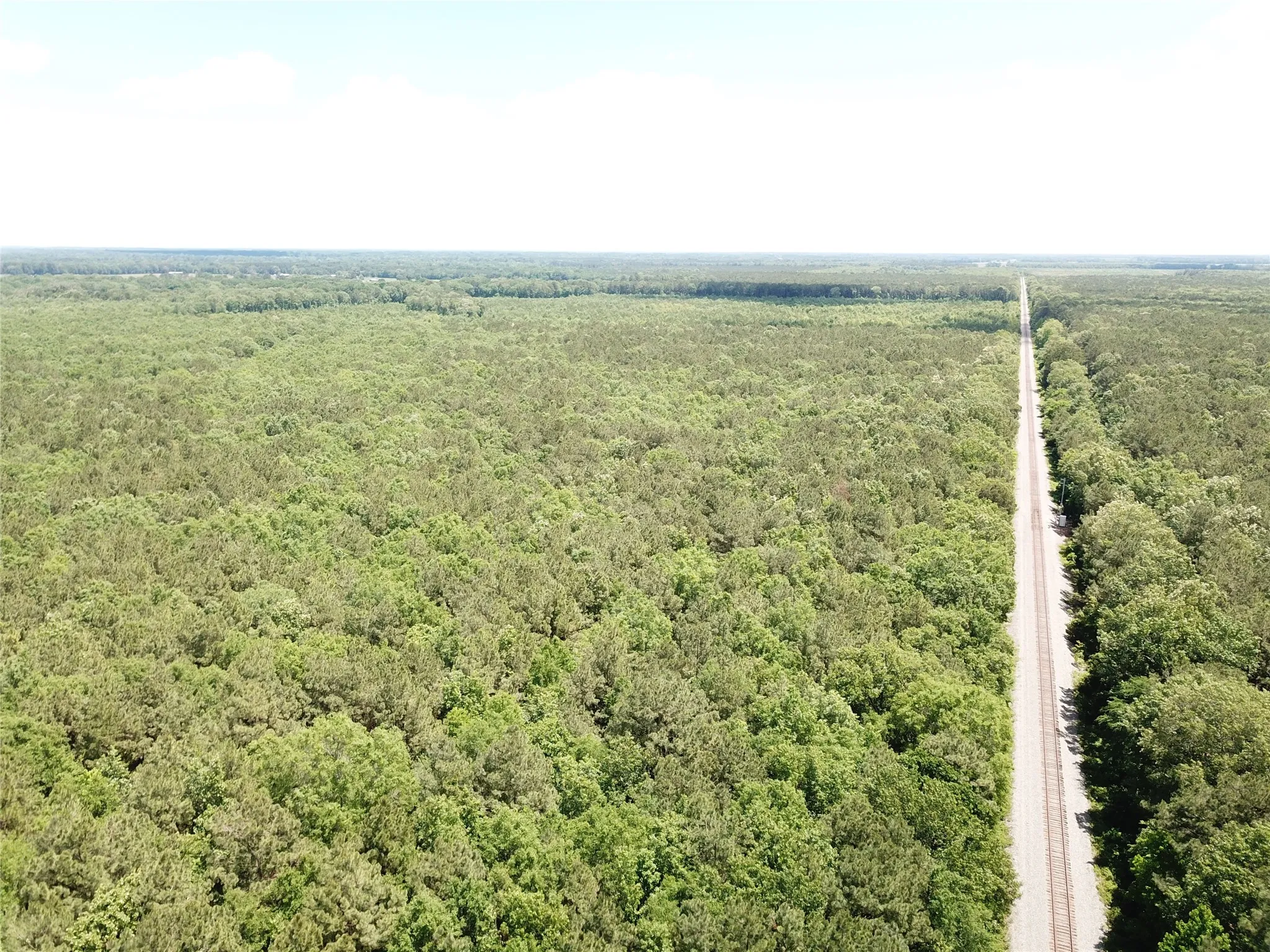 Unimproved Land For Sale in Bowie County , 00 County Road 4223, Simms, Texas 75574, 0, 0, Garage spaces, 0 Sqft, built in 0, mls#21408335, Real Estate Agent in Simms, Homes For Sale in Bowie county, Homes For Sale in Simms, Realtor in Simms Texas, Real Estate Brokerage Independent Realty Texas, Luminita Cordes Realtor