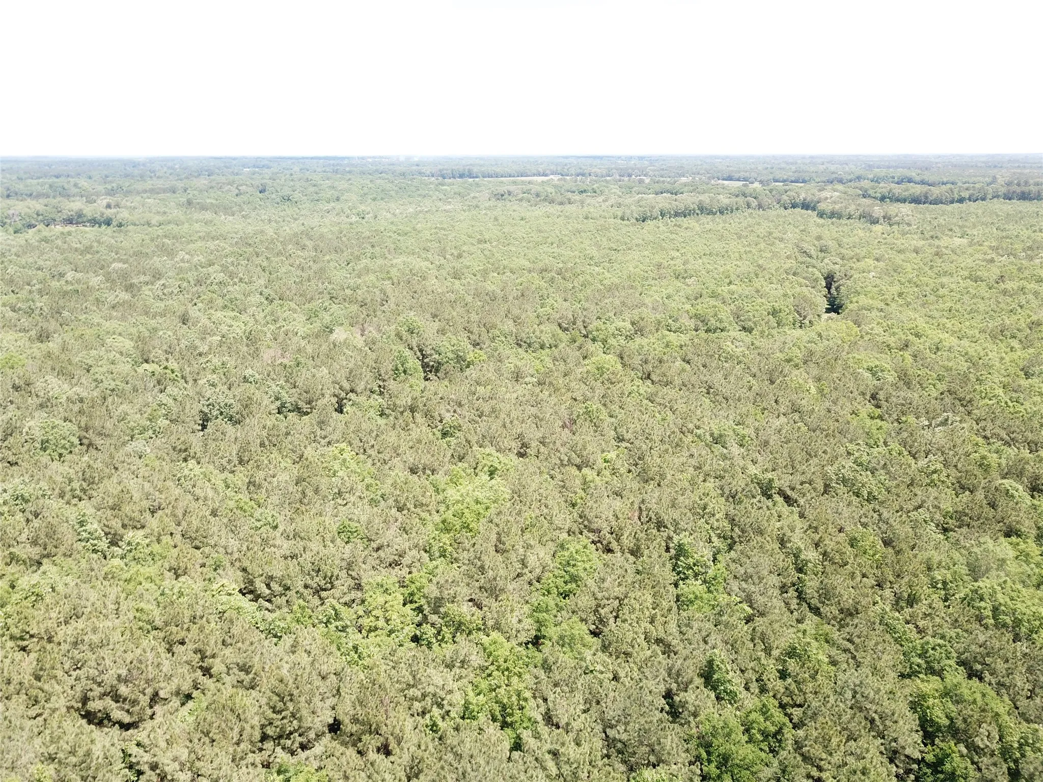 Unimproved Land For Sale in Bowie County , 00 County Road 4223, Simms, Texas 75574, 0, 0, Garage spaces, 0 Sqft, built in 0, mls#21408335, Real Estate Agent in Simms, Homes For Sale in Bowie county, Homes For Sale in Simms, Realtor in Simms Texas, Real Estate Brokerage Independent Realty Texas, Luminita Cordes Realtor
