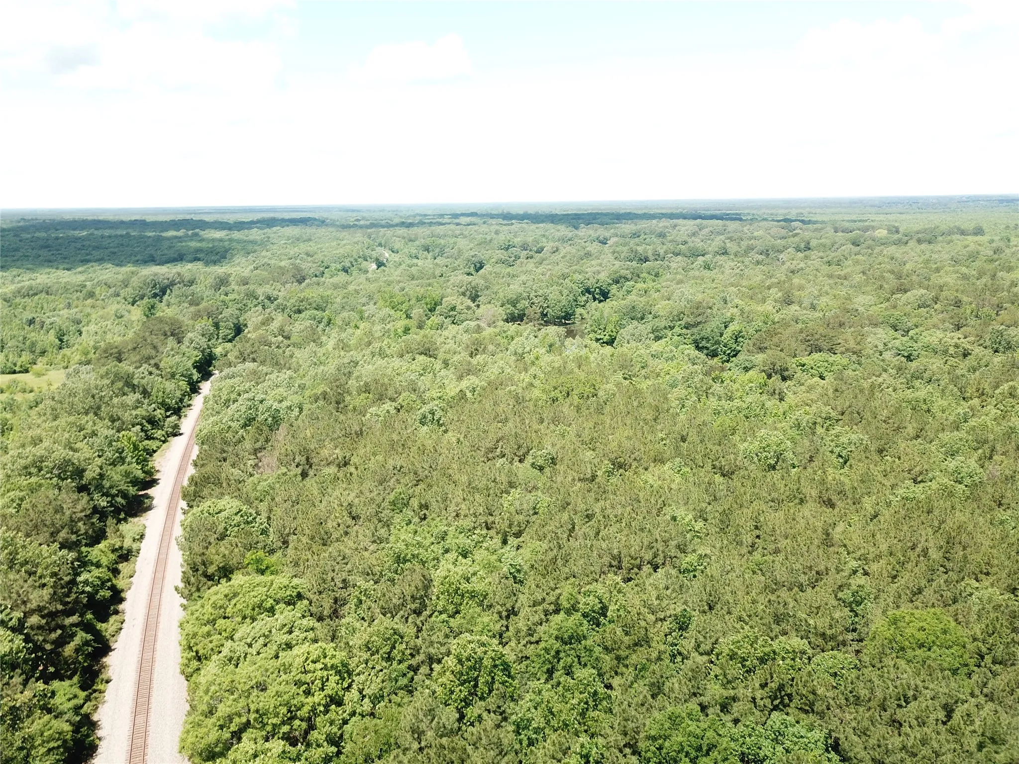 Unimproved Land For Sale in Bowie County , 00 County Road 4223, Simms, Texas 75574, 0, 0, Garage spaces, 0 Sqft, built in 0, mls#21408335, Real Estate Agent in Simms, Homes For Sale in Bowie county, Homes For Sale in Simms, Realtor in Simms Texas, Real Estate Brokerage Independent Realty Texas, Luminita Cordes Realtor