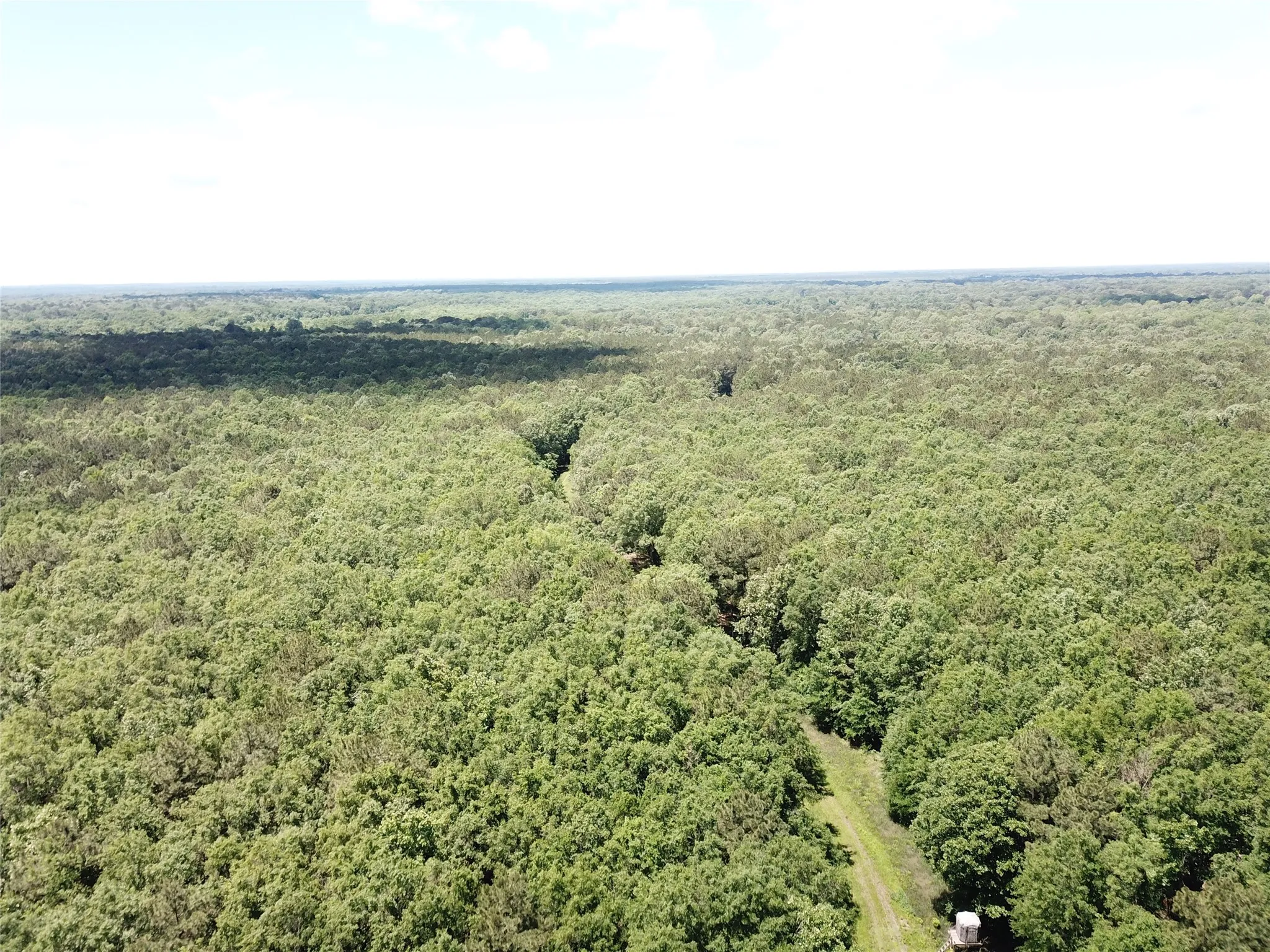 Unimproved Land For Sale in Bowie County , 00 County Road 4223, Simms, Texas 75574, 0, 0, Garage spaces, 0 Sqft, built in 0, mls#21408335, Real Estate Agent in Simms, Homes For Sale in Bowie county, Homes For Sale in Simms, Realtor in Simms Texas, Real Estate Brokerage Independent Realty Texas, Luminita Cordes Realtor