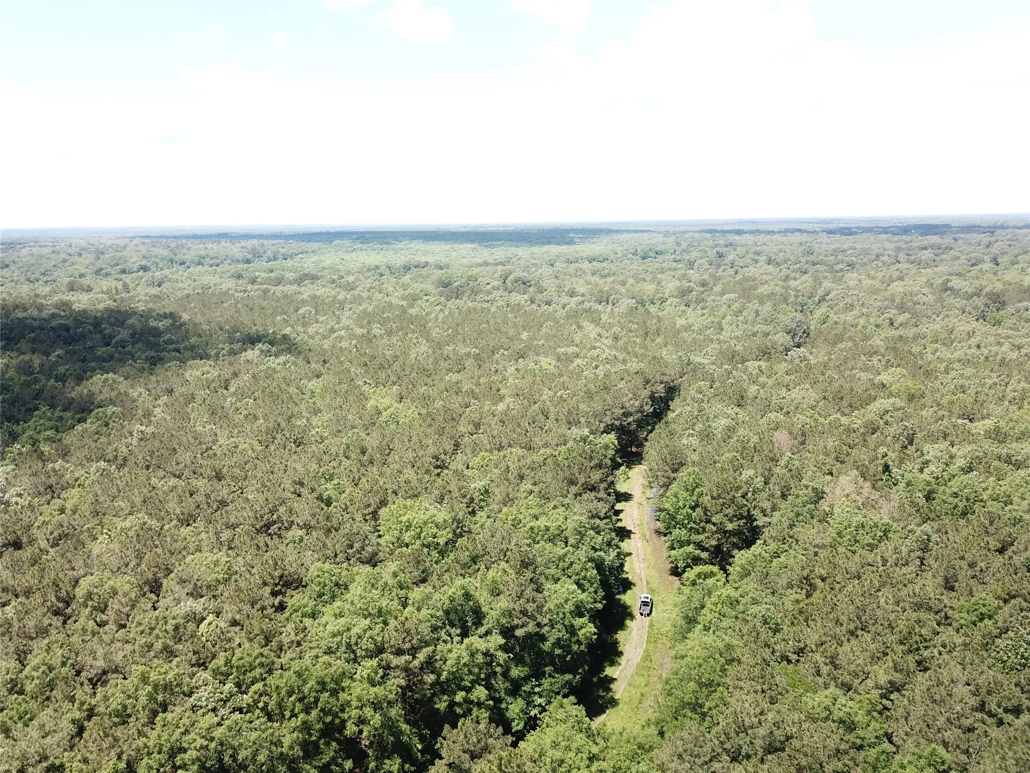 Unimproved Land For Sale in Bowie County , 00 County Road 4223, Simms, Texas 75574, 0, 0, Garage spaces, 0 Sqft, built in 0, mls#21408335, Real Estate Agent in Simms, Homes For Sale in Bowie county, Homes For Sale in Simms, Realtor in Simms Texas, Real Estate Brokerage Independent Realty Texas, Luminita Cordes Realtor