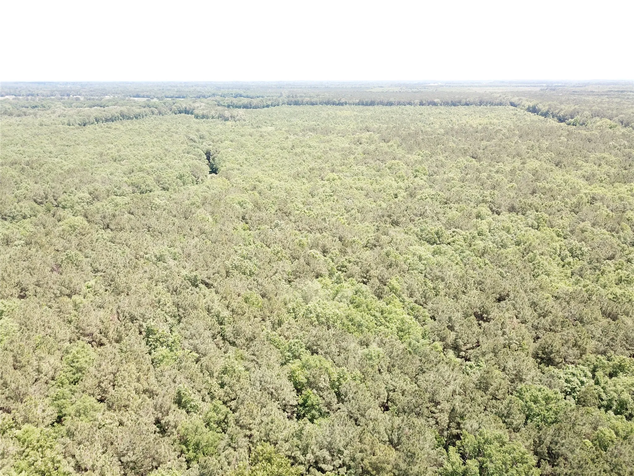 Unimproved Land For Sale in Bowie County , 00 County Road 4223, Simms, Texas 75574, 0, 0, Garage spaces, 0 Sqft, built in 0, mls#21408335, Real Estate Agent in Simms, Homes For Sale in Bowie county, Homes For Sale in Simms, Realtor in Simms Texas, Real Estate Brokerage Independent Realty Texas, Luminita Cordes Realtor