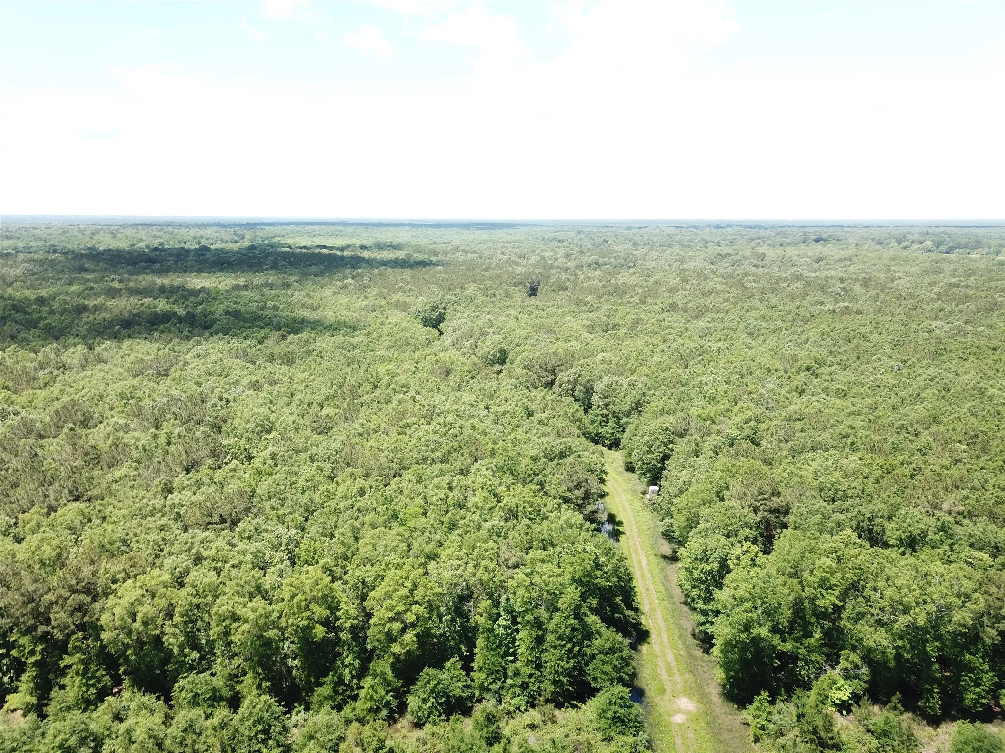 Unimproved Land For Sale in Bowie County , 00 County Road 4223, Simms, Texas 75574, 0, 0, Garage spaces, 0 Sqft, built in 0, mls#21408335, Real Estate Agent in Simms, Homes For Sale in Bowie county, Homes For Sale in Simms, Realtor in Simms Texas, Real Estate Brokerage Independent Realty Texas, Luminita Cordes Realtor