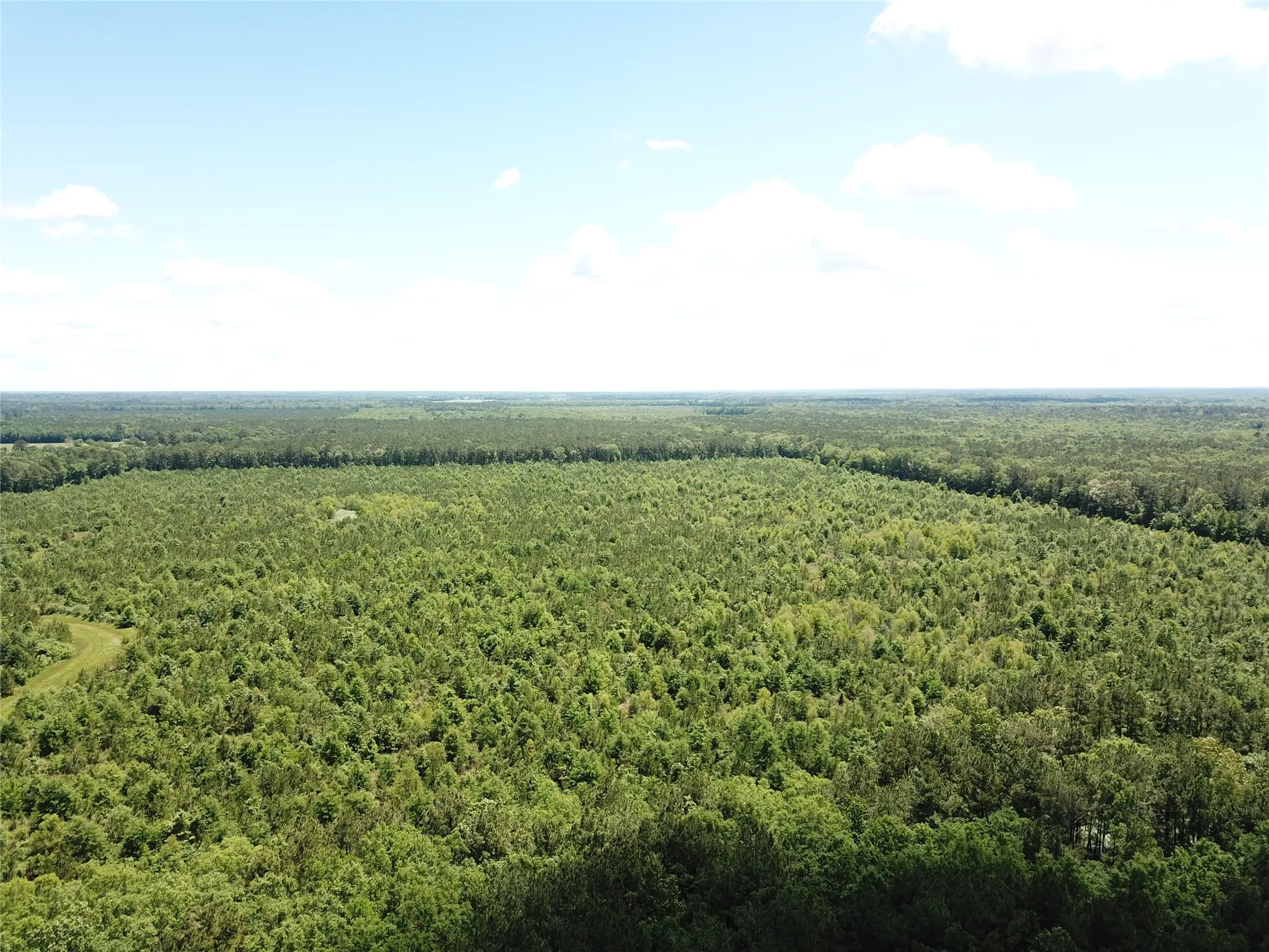 Unimproved Land For Sale in Bowie County , 00 County Road 4223, Simms, Texas 75574, 0, 0, Garage spaces, 0 Sqft, built in 0, mls#21408335, Real Estate Agent in Simms, Homes For Sale in Bowie county, Homes For Sale in Simms, Realtor in Simms Texas, Real Estate Brokerage Independent Realty Texas, Luminita Cordes Realtor