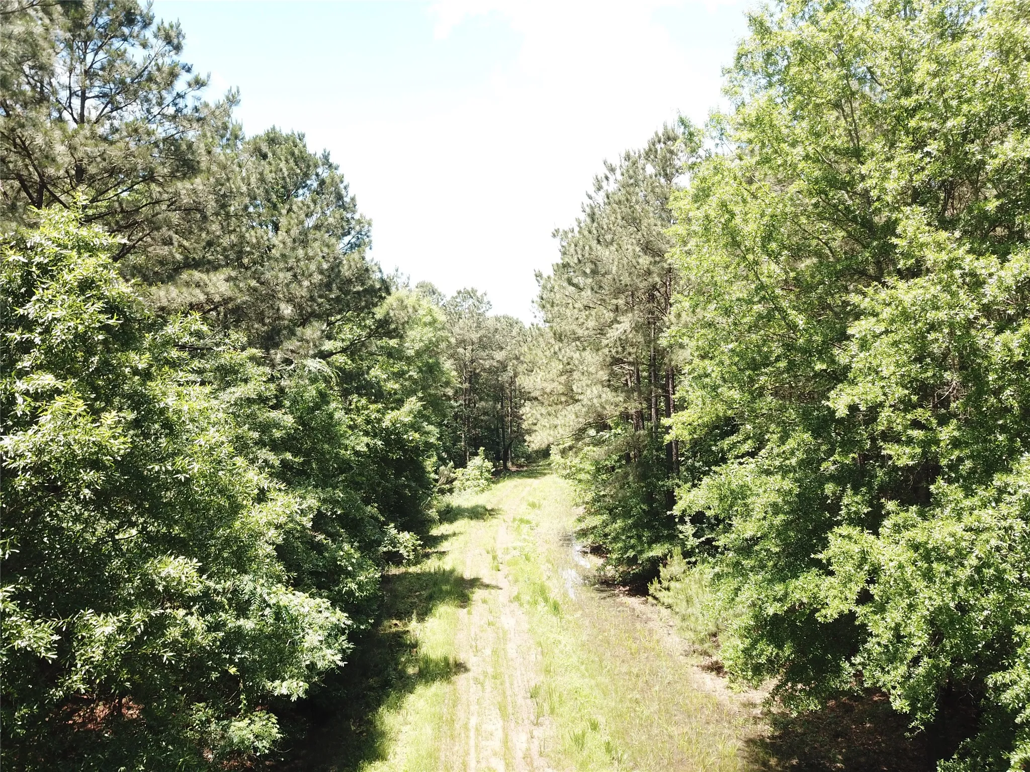 Unimproved Land For Sale in Bowie County , 00 County Road 4223, Simms, Texas 75574, 0, 0, Garage spaces, 0 Sqft, built in 0, mls#21408335, Real Estate Agent in Simms, Homes For Sale in Bowie county, Homes For Sale in Simms, Realtor in Simms Texas, Real Estate Brokerage Independent Realty Texas, Luminita Cordes Realtor