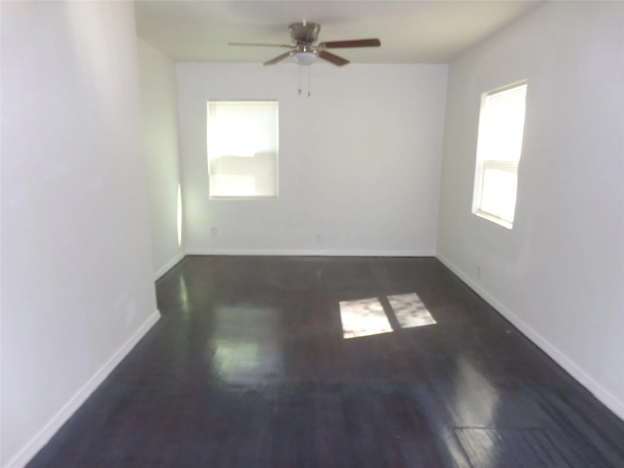 Painted white walls with dark wood-finish flooring, featuring two windows and a ceiling fan with integrated lighting