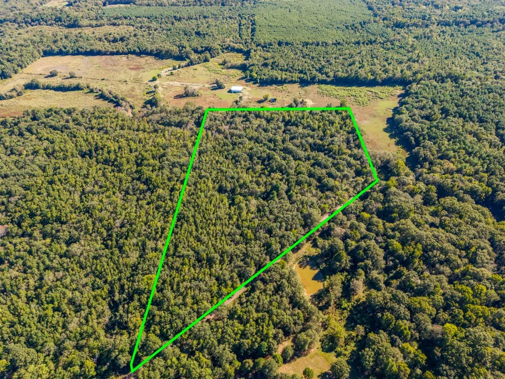 Expansive wooded acreage with a distinct boundary, surrounded by additional forested areas and open land