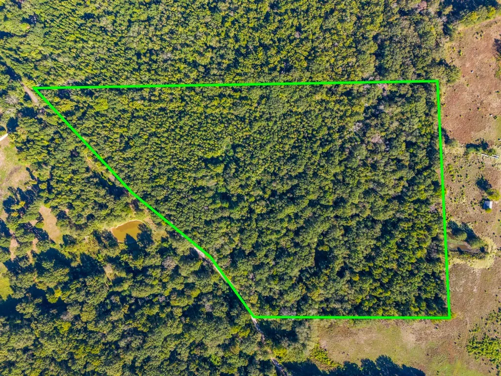 Expansive wooded acreage featuring a defined property boundary and a visible pond