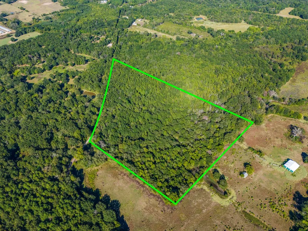Wooded acreage with varied tree coverage, bordered by open fields and additional wooded areas