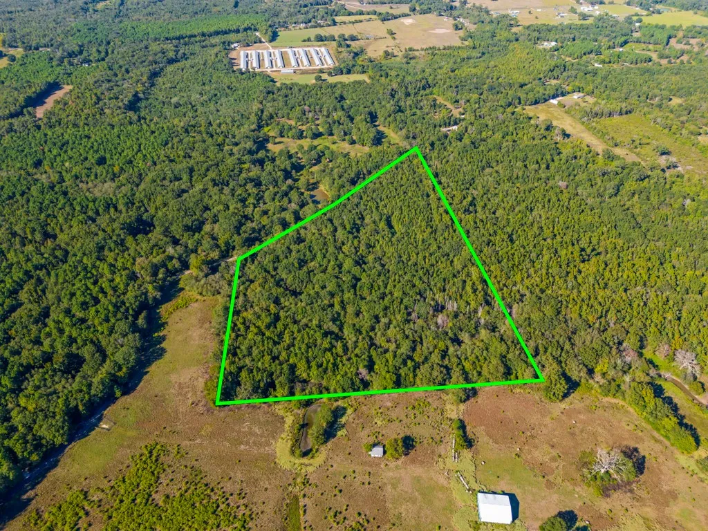 Expansive land parcel featuring dense tree coverage