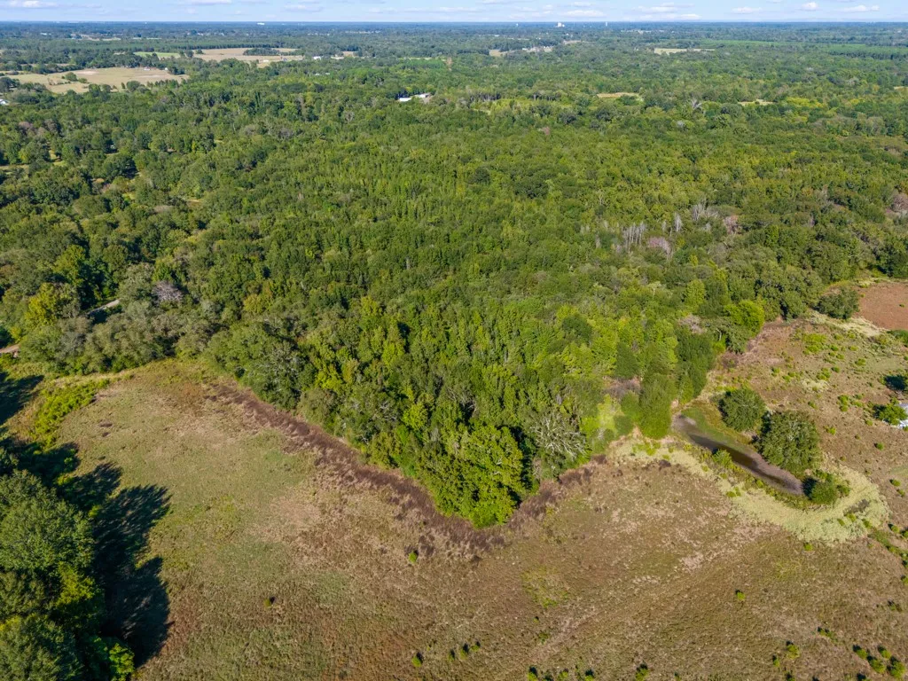 Expansive treed acreage bordering open fields, featuring a natural water element