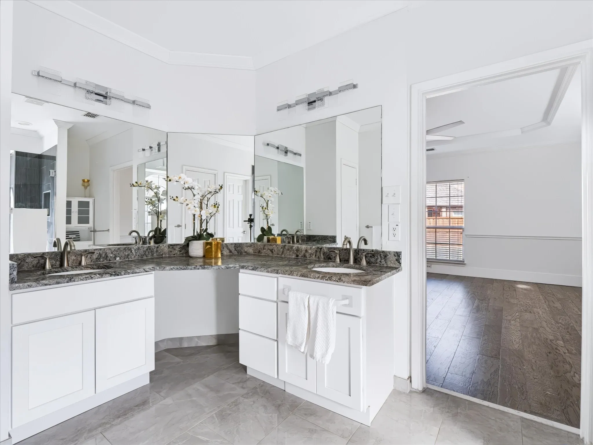 Dual sinks and vanity