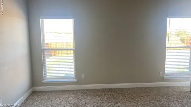 Neutral wall color, two windows with blinds, and carpeting