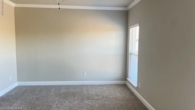 Textured walls with neutral paint, crown molding, window with blinds, and carpet flooring