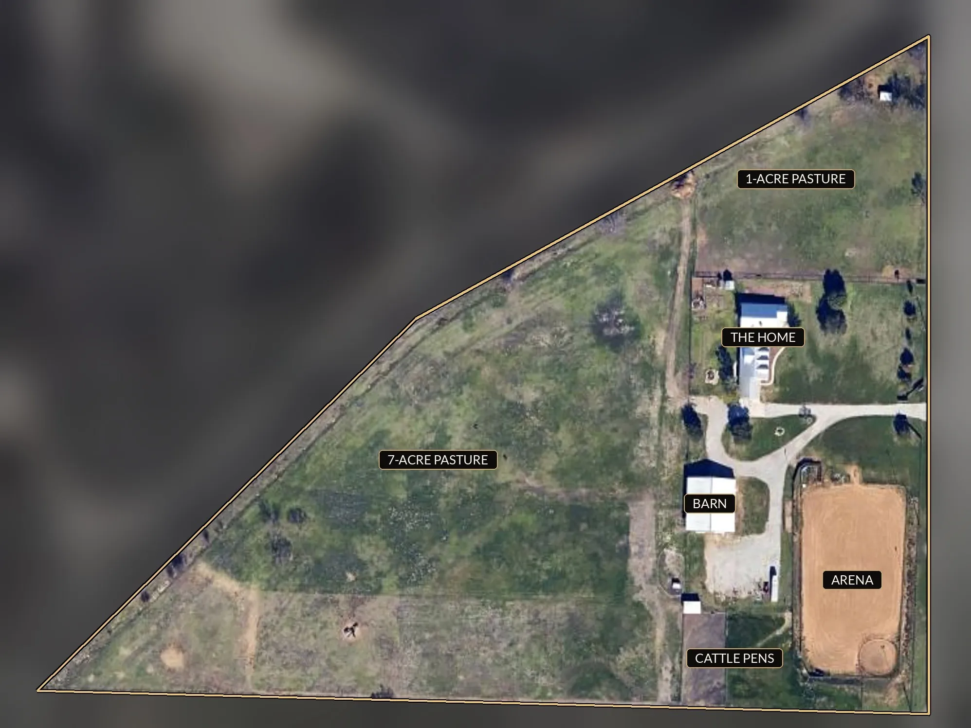 Farm For Sale in Wise County , 12820 N County Line Road, Ponder, Texas 76259, 7 Bedroom, 5 Bathroom, Garage spaces, 5,098 Sqft, built in 1999, mls#21407275, Real Estate Agent in Ponder, Homes For Sale in Wise county, Homes For Sale in Ponder, Realtor in Ponder Texas, Real Estate Brokerage Independent Realty Texas, Luminita Cordes Realtor