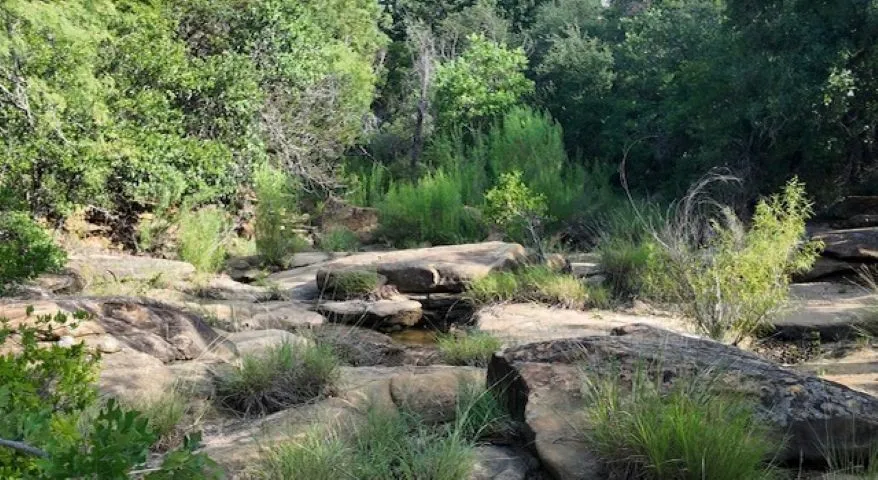 Ranch For Sale in San Saba County , 570 CR 253, Rochelle, Texas 76871, 0, 0, Garage spaces, 0 Sqft, built in 2009, mls#21408444, Real Estate Agent in Rochelle, Homes For Sale in San Saba county, Homes For Sale in Rochelle, Realtor in Rochelle Texas, Real Estate Brokerage Independent Realty Texas, Luminita Cordes Realtor