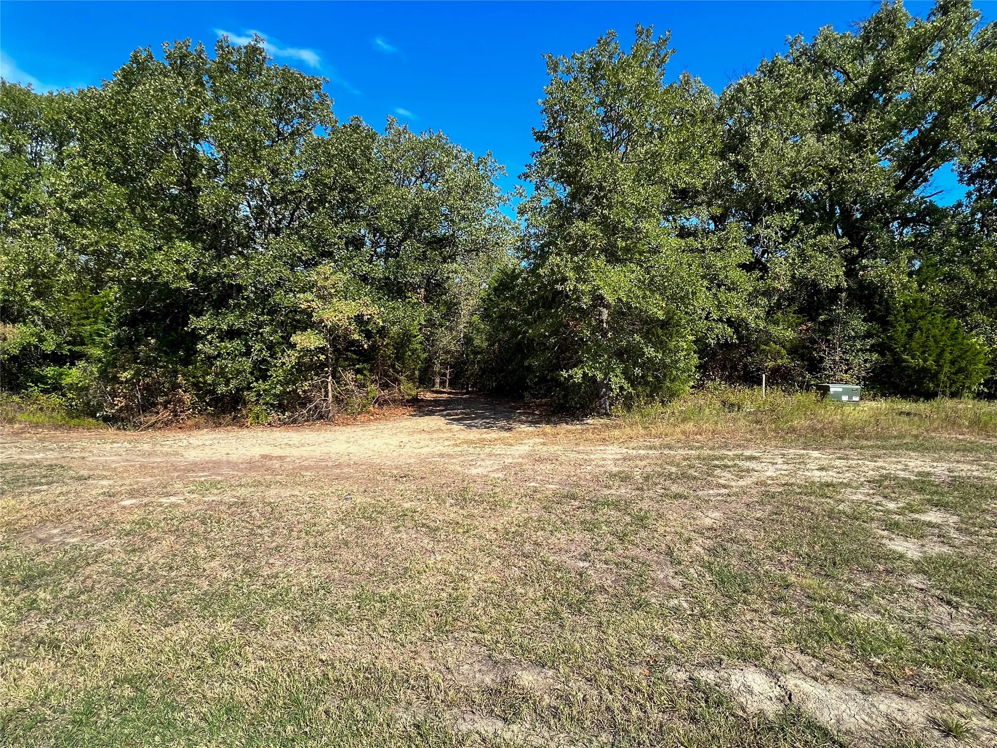 View from road--area cleared for access to walk the property to the water. Just imagine your driveway here driveway throught the trees to your beautiful custom home on the lake.