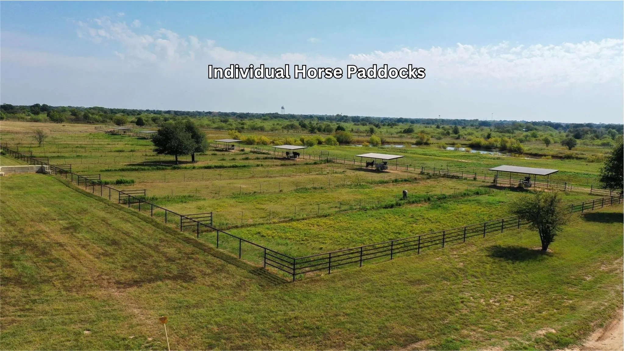 Individual Horse Paddocks
