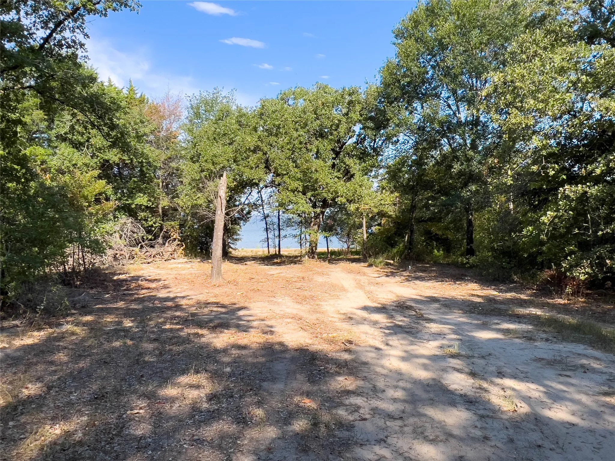 1.62 wooded acres ready for you to make your own.