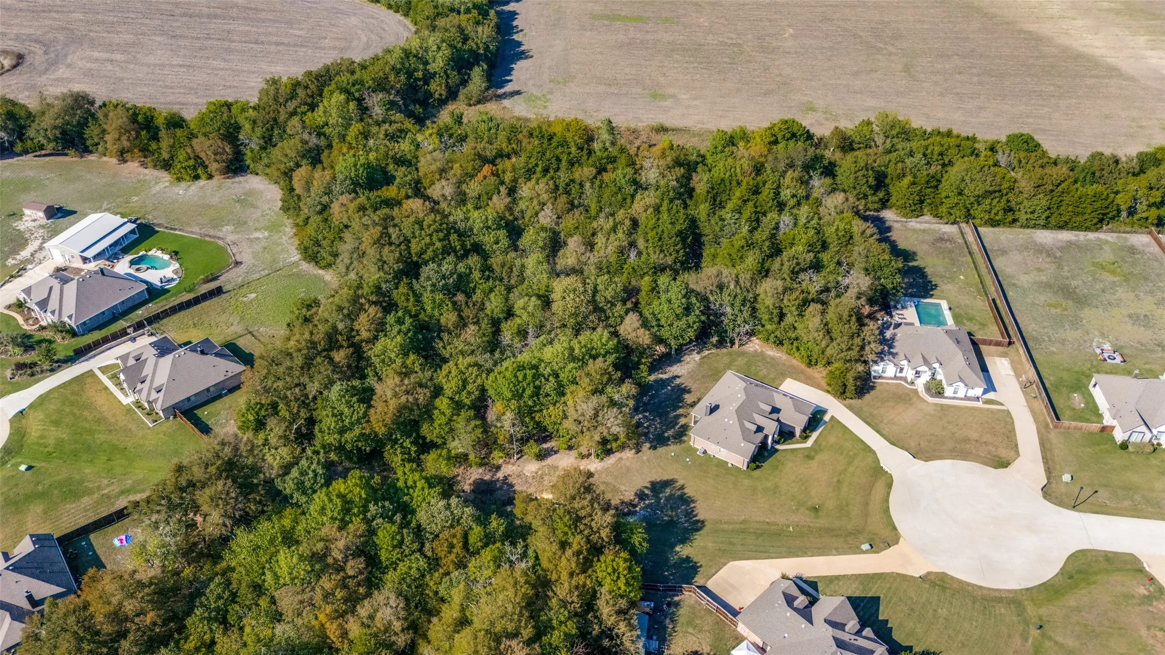 Expansive land parcel featuring mature trees, surrounding properties, and a paved street