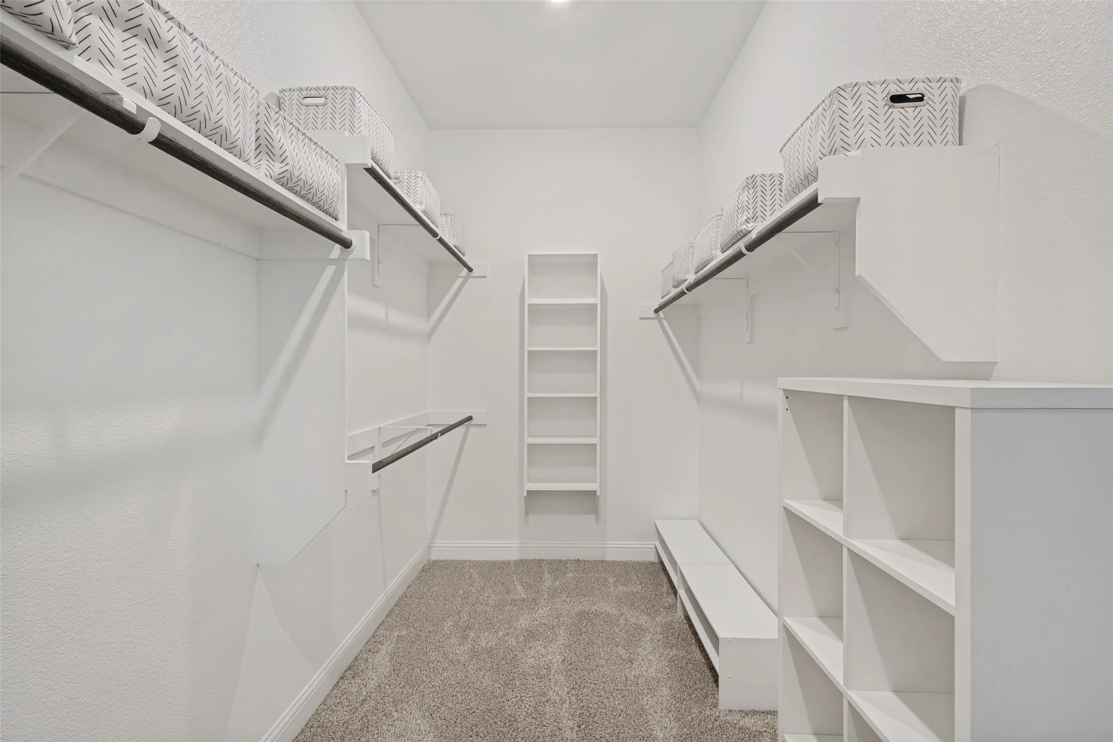 Walk-in closet featuring built-in shelving, integrated hanging rods, and carpet flooring