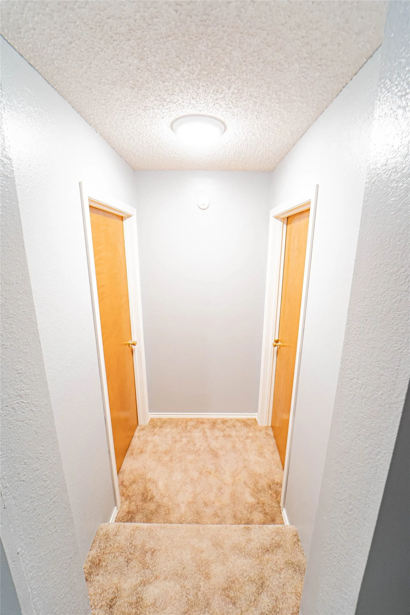 Carpeted hallway with two paneled doors and ceiling-mounted lighting