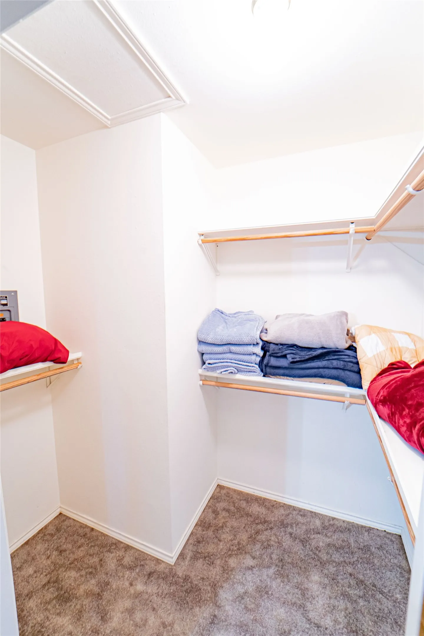Walk-in closet with carpet flooring, white walls, built-in shelving, and hanging rods