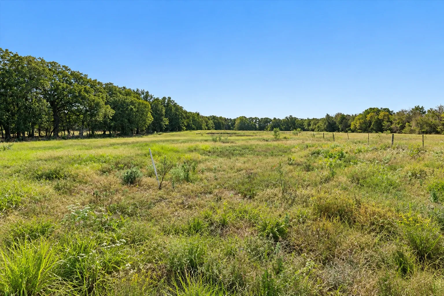 Farm For Sale in Navarro County , 10619 County Road 3080, Purdon, Texas 76679, 4 Bedroom, 2 Bathroom, Garage spaces, 1,848 Sqft, built in 2003, mls#21399501, Real Estate Agent in Purdon, Homes For Sale in Navarro county, Homes For Sale in Purdon, Realtor in Purdon Texas, Real Estate Brokerage Independent Realty Texas, Luminita Cordes Realtor