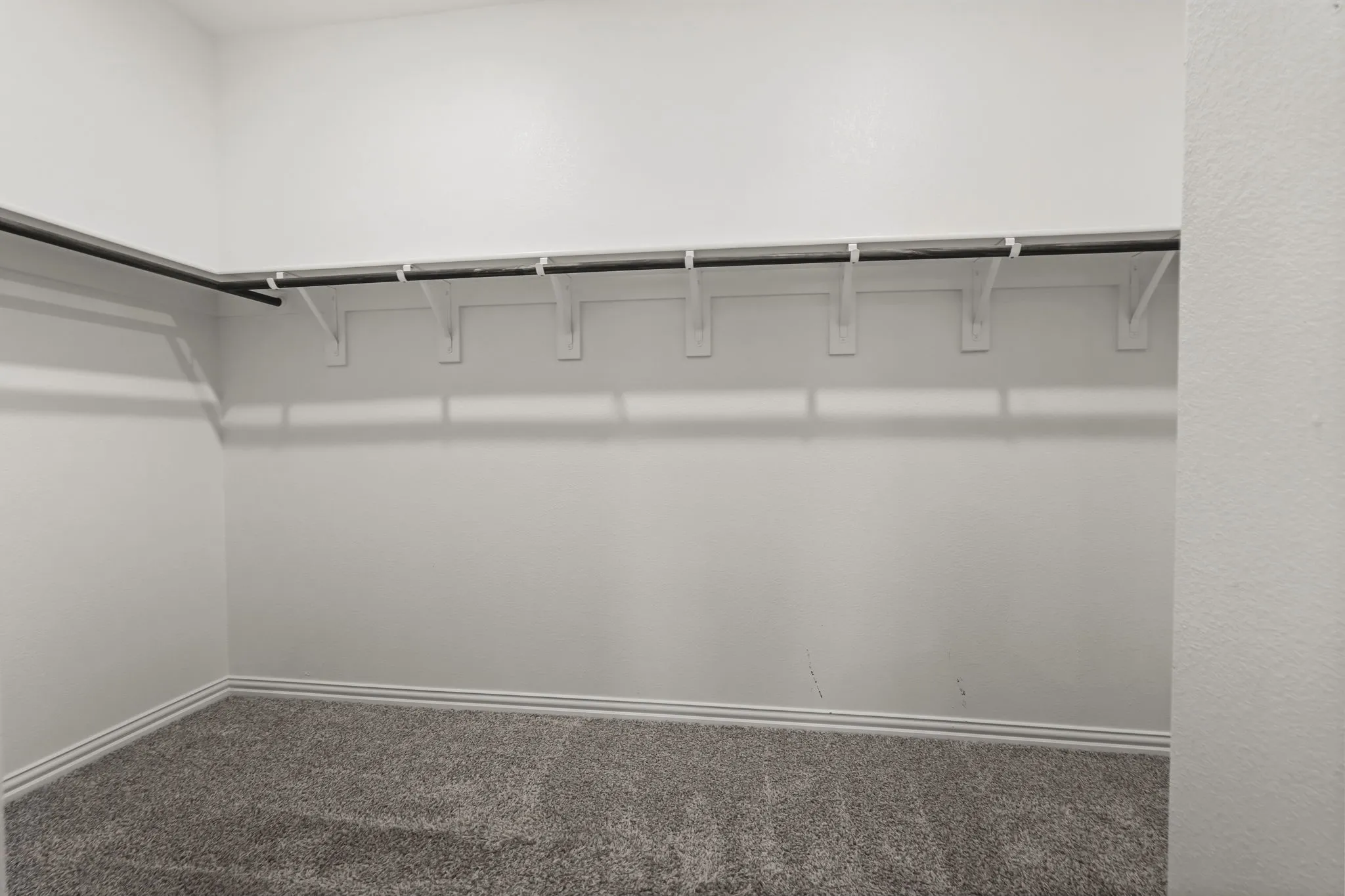 Carpeted closet with wall-mounted clothing rods