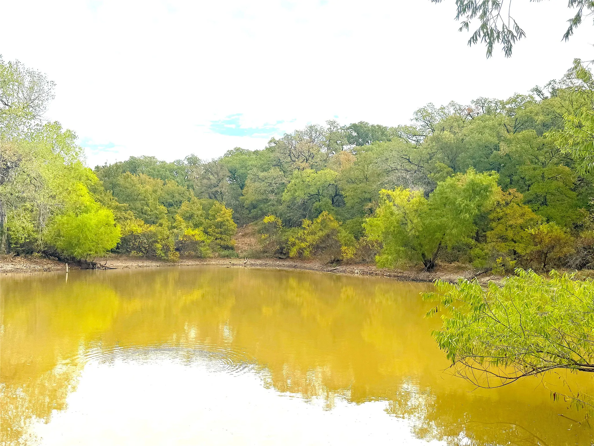 Ranch For Sale in Jack County , TBD Tx-148, Jacksboro, Texas 76458, 0, 0, Garage spaces, 0 Sqft, built in 0, mls#21405019, Real Estate Agent in Jacksboro, Homes For Sale in Jack county, Homes For Sale in Jacksboro, Realtor in Jacksboro Texas, Real Estate Brokerage Independent Realty Texas, Luminita Cordes Realtor