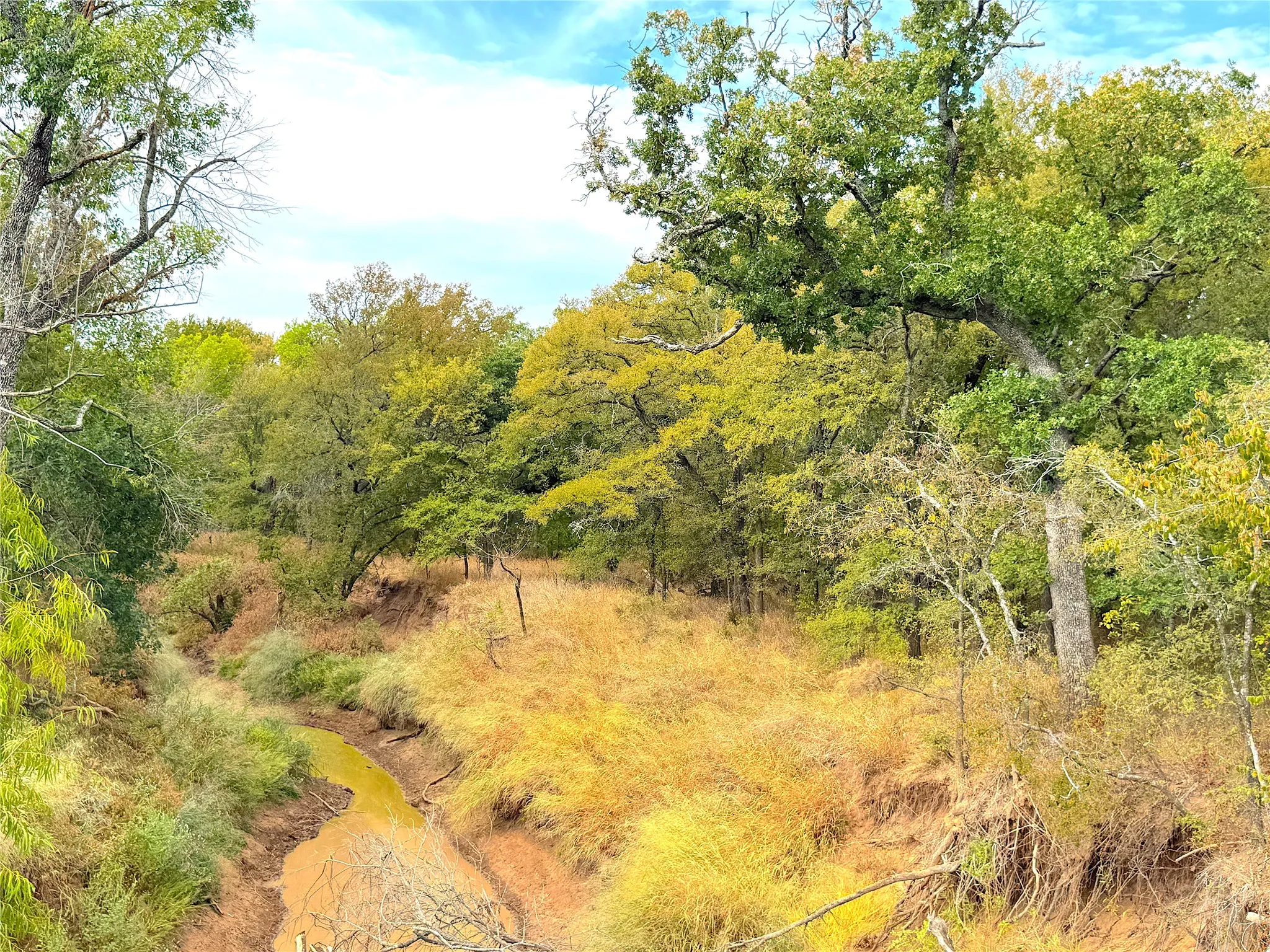 Ranch For Sale in Jack County , TBD Tx-148, Jacksboro, Texas 76458, 0, 0, Garage spaces, 0 Sqft, built in 0, mls#21405019, Real Estate Agent in Jacksboro, Homes For Sale in Jack county, Homes For Sale in Jacksboro, Realtor in Jacksboro Texas, Real Estate Brokerage Independent Realty Texas, Luminita Cordes Realtor