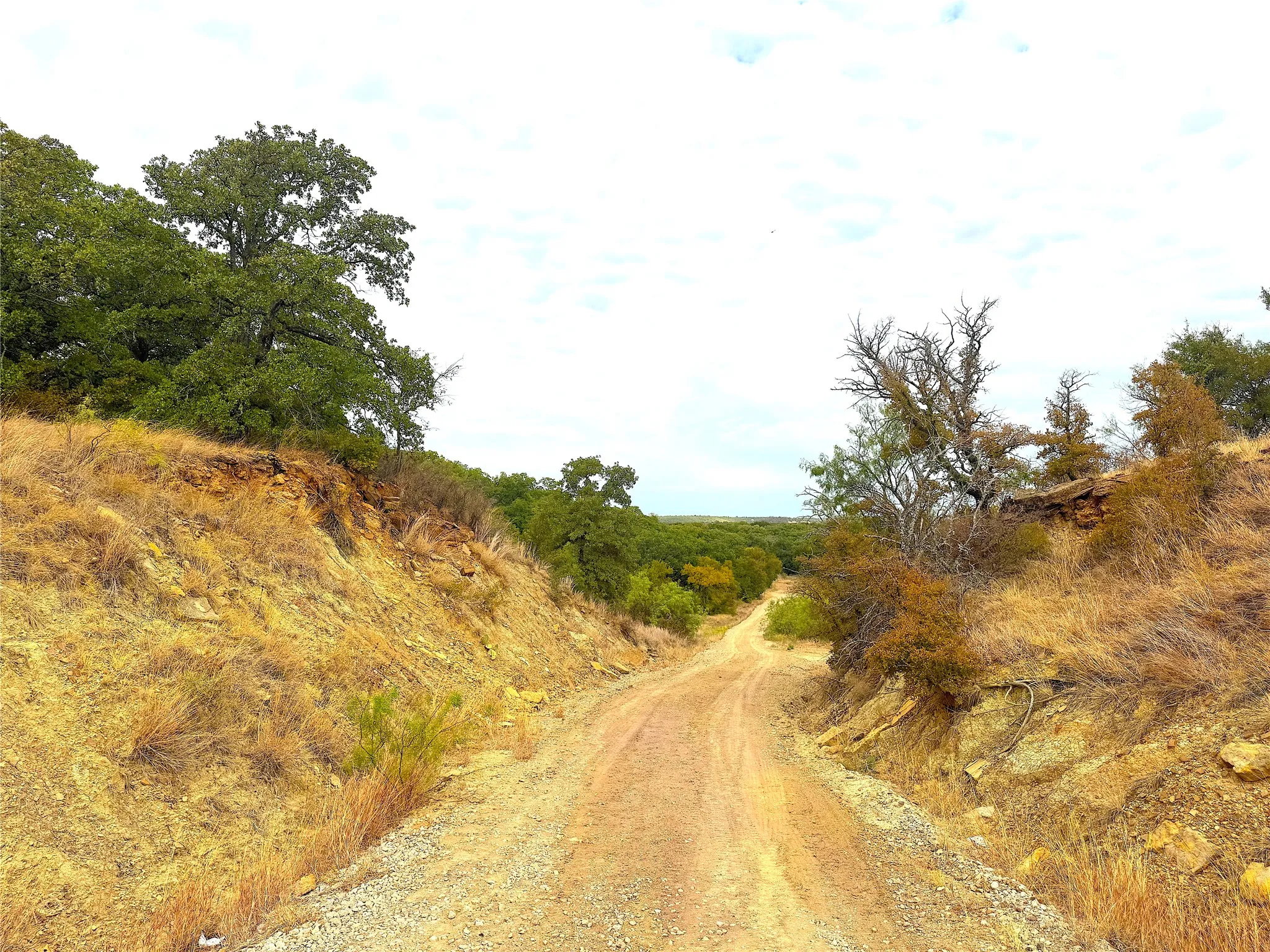 Ranch For Sale in Jack County , TBD Tx-148, Jacksboro, Texas 76458, 0, 0, Garage spaces, 0 Sqft, built in 0, mls#21405019, Real Estate Agent in Jacksboro, Homes For Sale in Jack county, Homes For Sale in Jacksboro, Realtor in Jacksboro Texas, Real Estate Brokerage Independent Realty Texas, Luminita Cordes Realtor