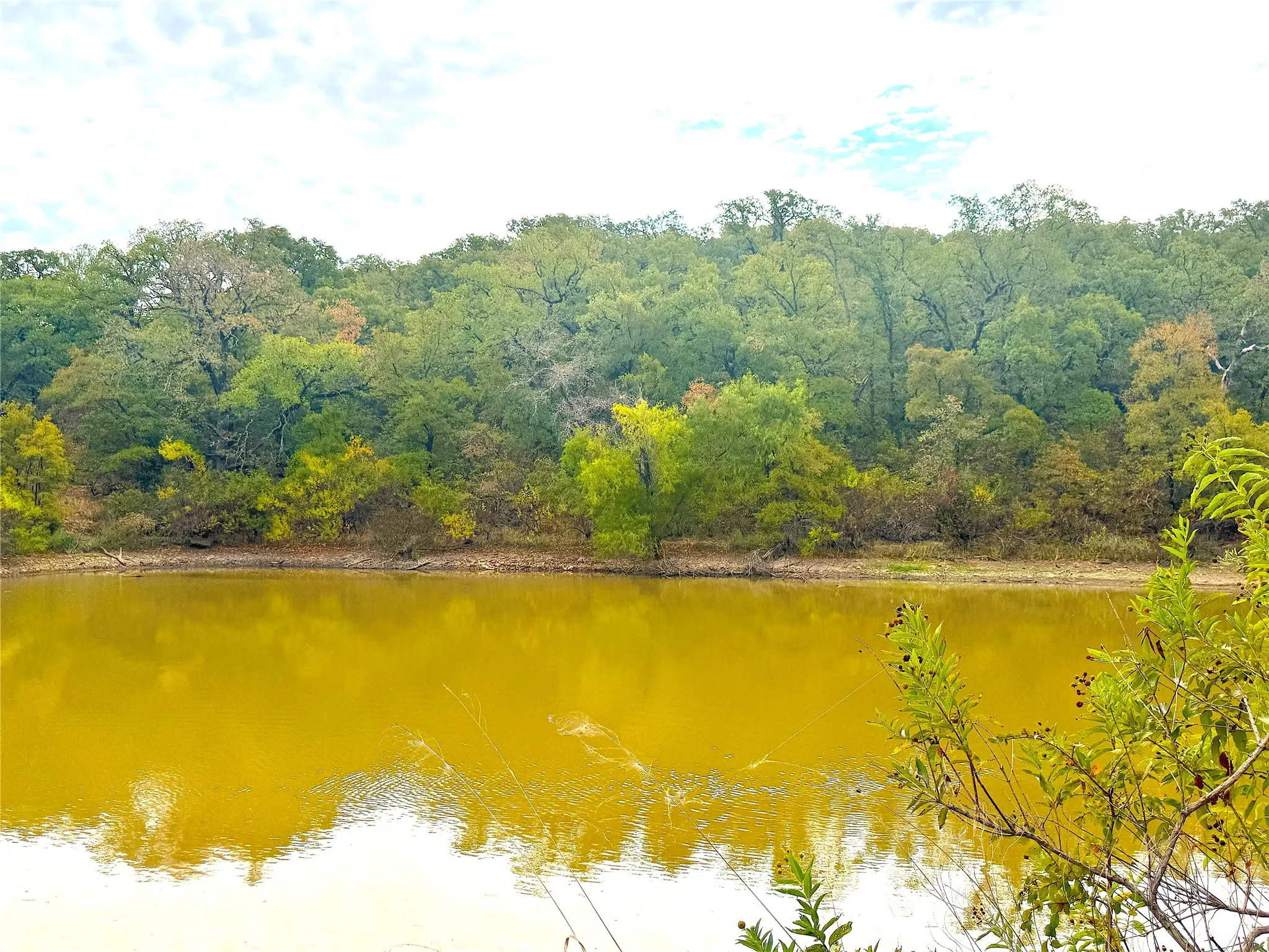 Ranch For Sale in Jack County , TBD Tx-148, Jacksboro, Texas 76458, 0, 0, Garage spaces, 0 Sqft, built in 0, mls#21405019, Real Estate Agent in Jacksboro, Homes For Sale in Jack county, Homes For Sale in Jacksboro, Realtor in Jacksboro Texas, Real Estate Brokerage Independent Realty Texas, Luminita Cordes Realtor