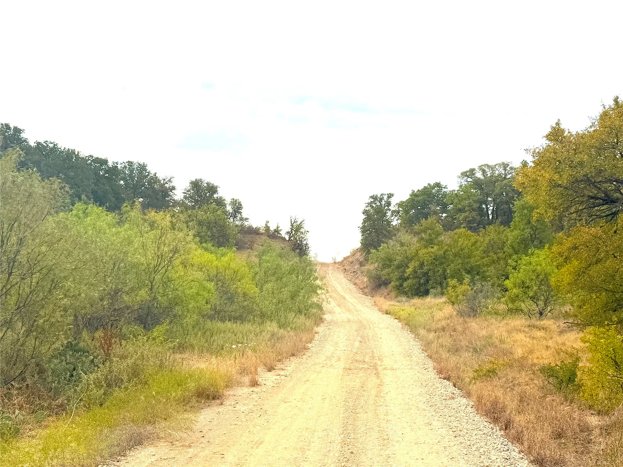 Ranch For Sale in Jack County , TBD Tx-148, Jacksboro, Texas 76458, 0, 0, Garage spaces, 0 Sqft, built in 0, mls#21405019, Real Estate Agent in Jacksboro, Homes For Sale in Jack county, Homes For Sale in Jacksboro, Realtor in Jacksboro Texas, Real Estate Brokerage Independent Realty Texas, Luminita Cordes Realtor