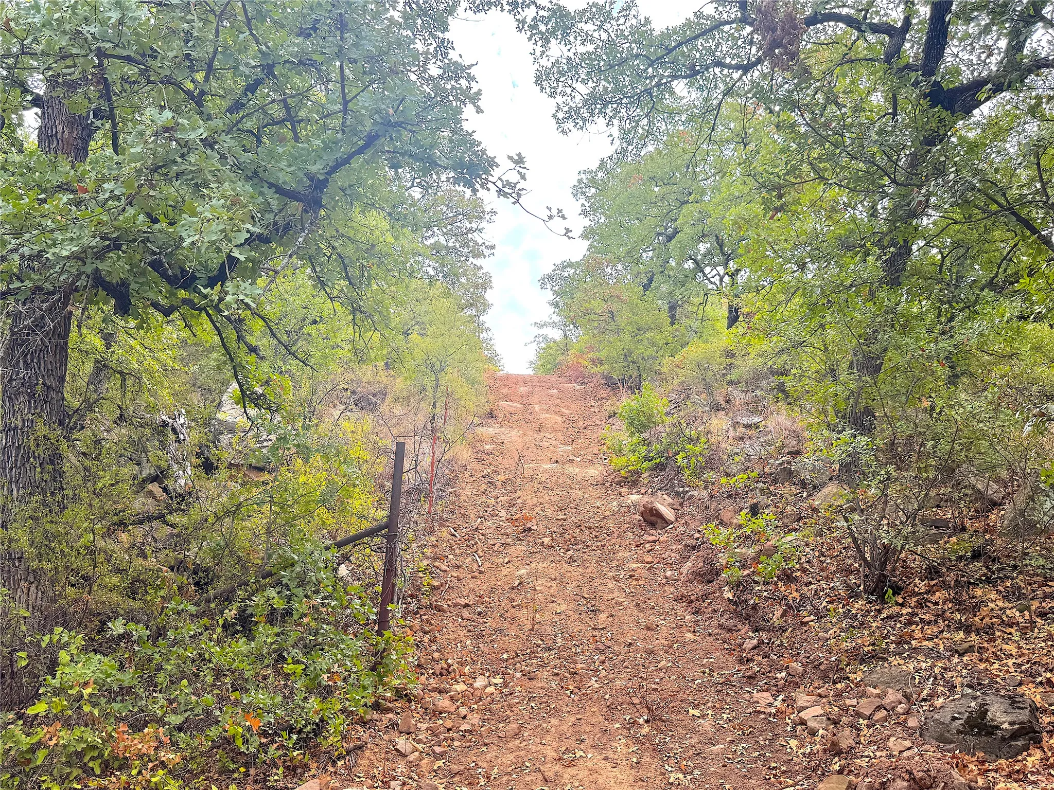 Ranch For Sale in Jack County , TBD Tx-148, Jacksboro, Texas 76458, 0, 0, Garage spaces, 0 Sqft, built in 0, mls#21405019, Real Estate Agent in Jacksboro, Homes For Sale in Jack county, Homes For Sale in Jacksboro, Realtor in Jacksboro Texas, Real Estate Brokerage Independent Realty Texas, Luminita Cordes Realtor