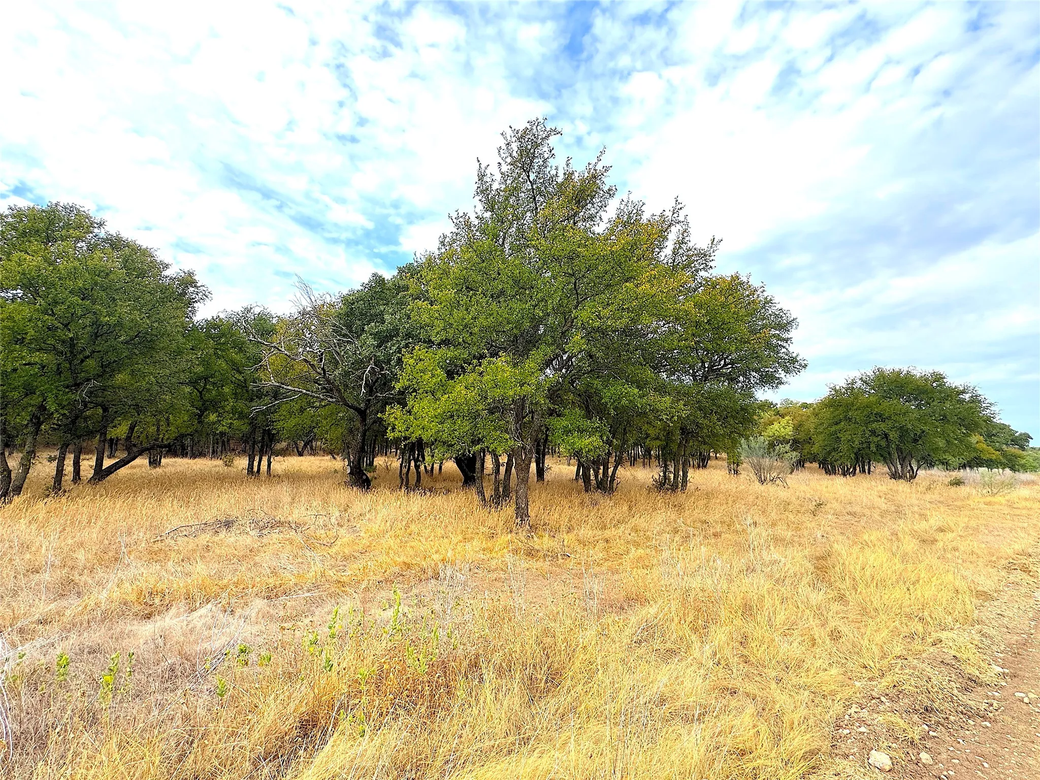 Ranch For Sale in Jack County , TBD Tx-148, Jacksboro, Texas 76458, 0, 0, Garage spaces, 0 Sqft, built in 0, mls#21405019, Real Estate Agent in Jacksboro, Homes For Sale in Jack county, Homes For Sale in Jacksboro, Realtor in Jacksboro Texas, Real Estate Brokerage Independent Realty Texas, Luminita Cordes Realtor