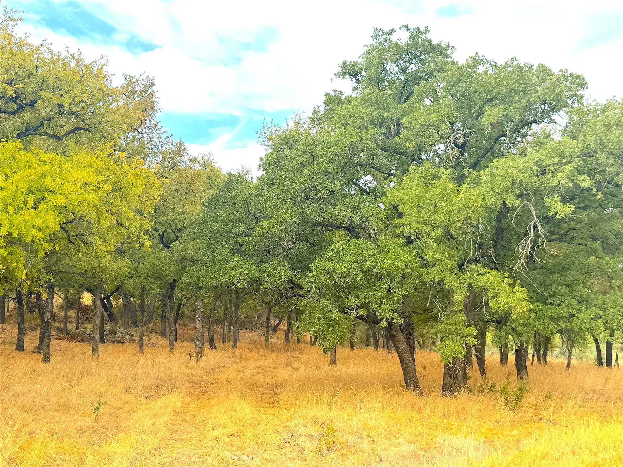 Ranch For Sale in Jack County , TBD Tx-148, Jacksboro, Texas 76458, 0, 0, Garage spaces, 0 Sqft, built in 0, mls#21405019, Real Estate Agent in Jacksboro, Homes For Sale in Jack county, Homes For Sale in Jacksboro, Realtor in Jacksboro Texas, Real Estate Brokerage Independent Realty Texas, Luminita Cordes Realtor
