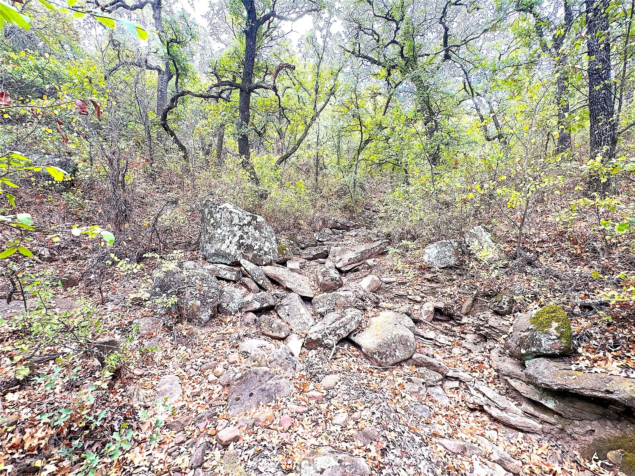 Ranch For Sale in Jack County , TBD Tx-148, Jacksboro, Texas 76458, 0, 0, Garage spaces, 0 Sqft, built in 0, mls#21405019, Real Estate Agent in Jacksboro, Homes For Sale in Jack county, Homes For Sale in Jacksboro, Realtor in Jacksboro Texas, Real Estate Brokerage Independent Realty Texas, Luminita Cordes Realtor