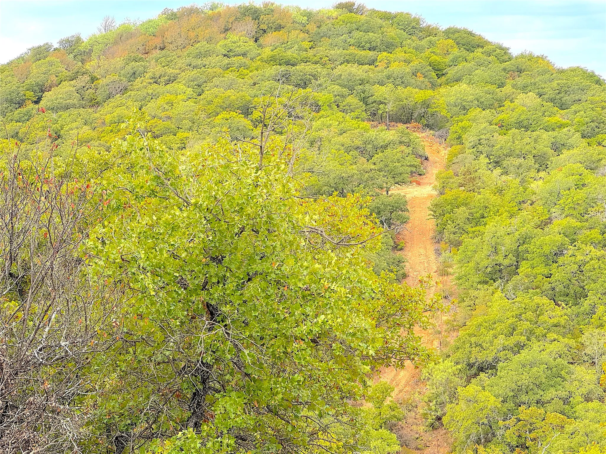 Ranch For Sale in Jack County , TBD Tx-148, Jacksboro, Texas 76458, 0, 0, Garage spaces, 0 Sqft, built in 0, mls#21405019, Real Estate Agent in Jacksboro, Homes For Sale in Jack county, Homes For Sale in Jacksboro, Realtor in Jacksboro Texas, Real Estate Brokerage Independent Realty Texas, Luminita Cordes Realtor