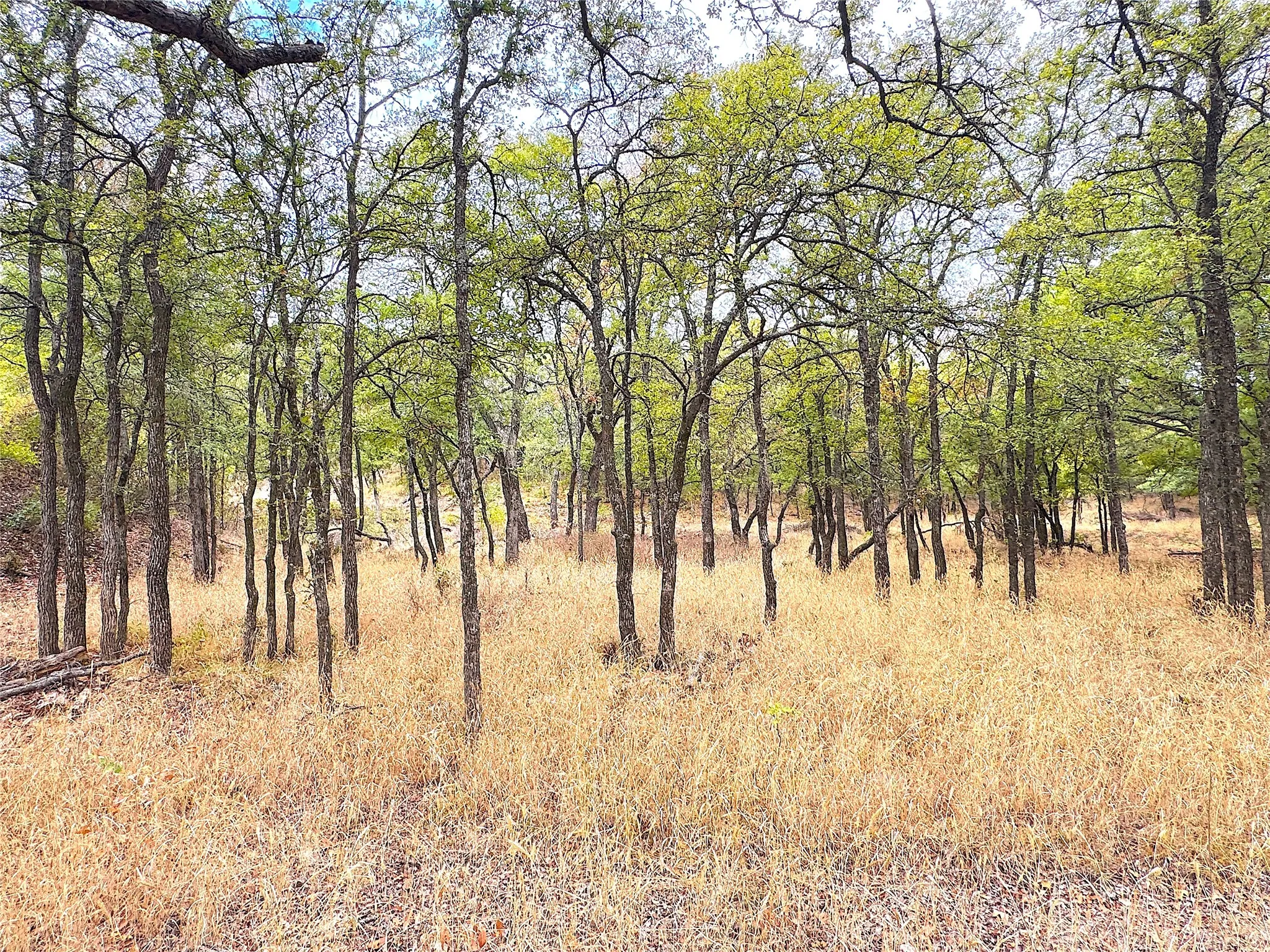 Ranch For Sale in Jack County , TBD Tx-148, Jacksboro, Texas 76458, 0, 0, Garage spaces, 0 Sqft, built in 0, mls#21405019, Real Estate Agent in Jacksboro, Homes For Sale in Jack county, Homes For Sale in Jacksboro, Realtor in Jacksboro Texas, Real Estate Brokerage Independent Realty Texas, Luminita Cordes Realtor