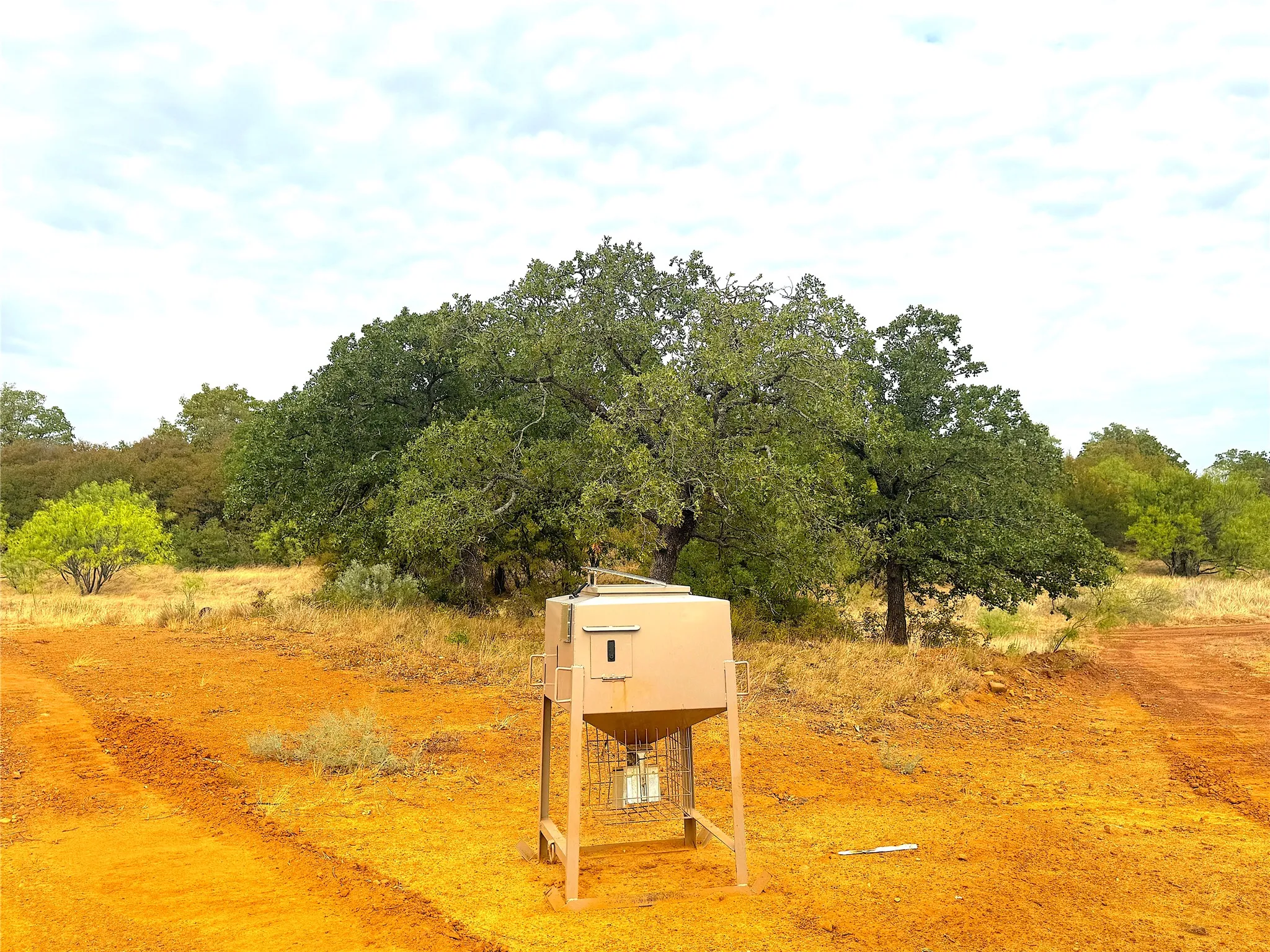 Ranch For Sale in Jack County , TBD Tx-148, Jacksboro, Texas 76458, 0, 0, Garage spaces, 0 Sqft, built in 0, mls#21405019, Real Estate Agent in Jacksboro, Homes For Sale in Jack county, Homes For Sale in Jacksboro, Realtor in Jacksboro Texas, Real Estate Brokerage Independent Realty Texas, Luminita Cordes Realtor