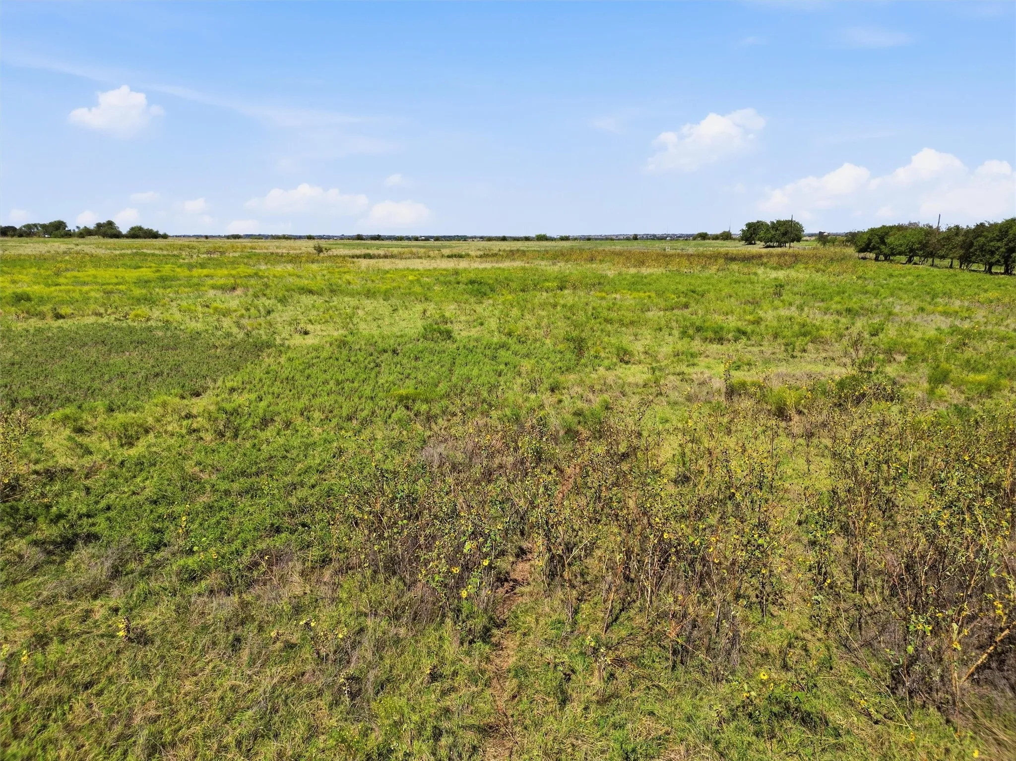 Improved Land For Sale in Johnson County , 7545 CR 1228, Godley, Texas 76044, 0, 0, Garage spaces, 0 Sqft, built in 0, mls#21407652, Real Estate Agent in Godley, Homes For Sale in Johnson county, Homes For Sale in Godley, Realtor in Godley Texas, Real Estate Brokerage Independent Realty Texas, Luminita Cordes Realtor