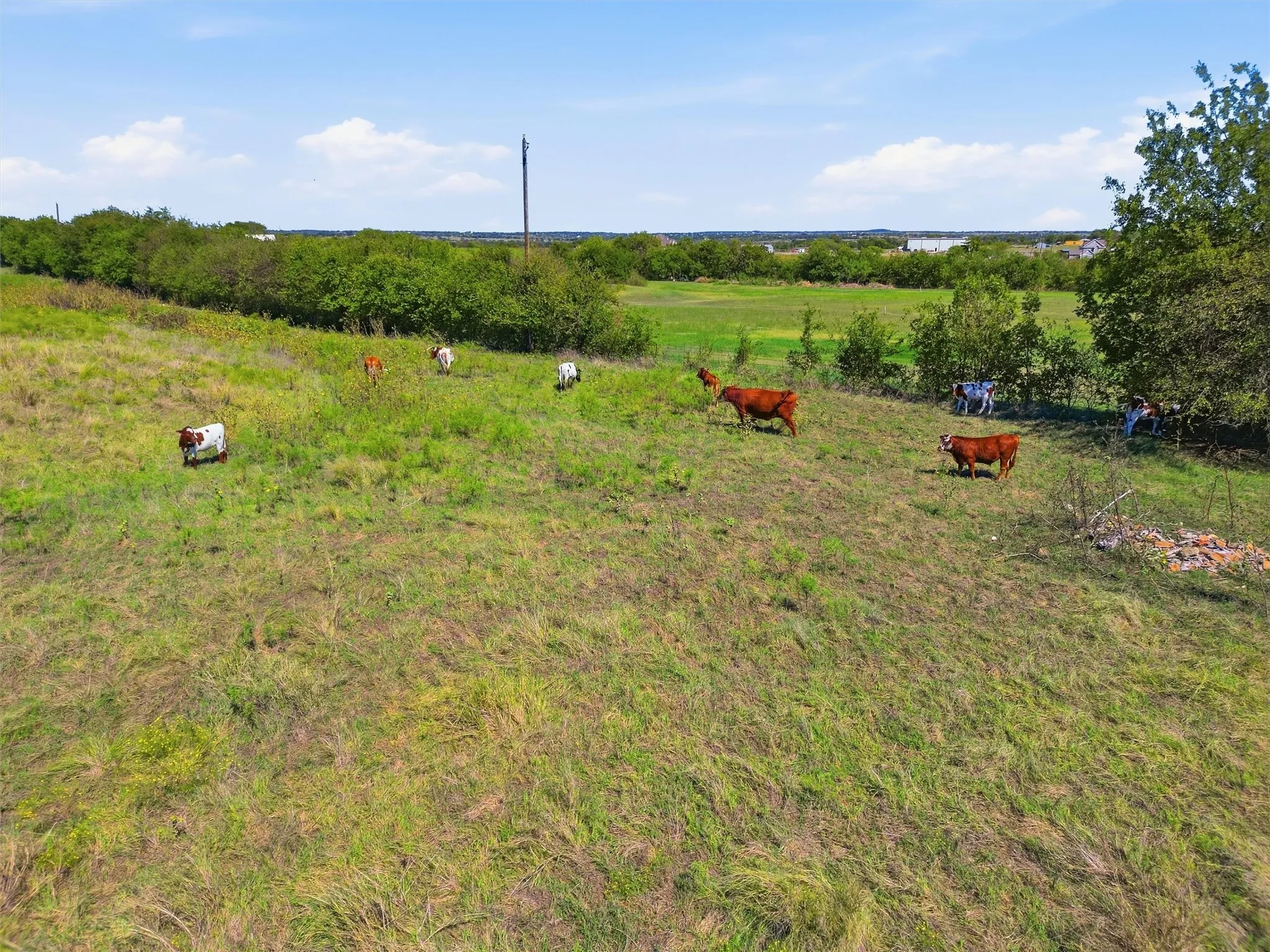 Improved Land For Sale in Johnson County , 7545 CR 1228, Godley, Texas 76044, 0, 0, Garage spaces, 0 Sqft, built in 0, mls#21407652, Real Estate Agent in Godley, Homes For Sale in Johnson county, Homes For Sale in Godley, Realtor in Godley Texas, Real Estate Brokerage Independent Realty Texas, Luminita Cordes Realtor